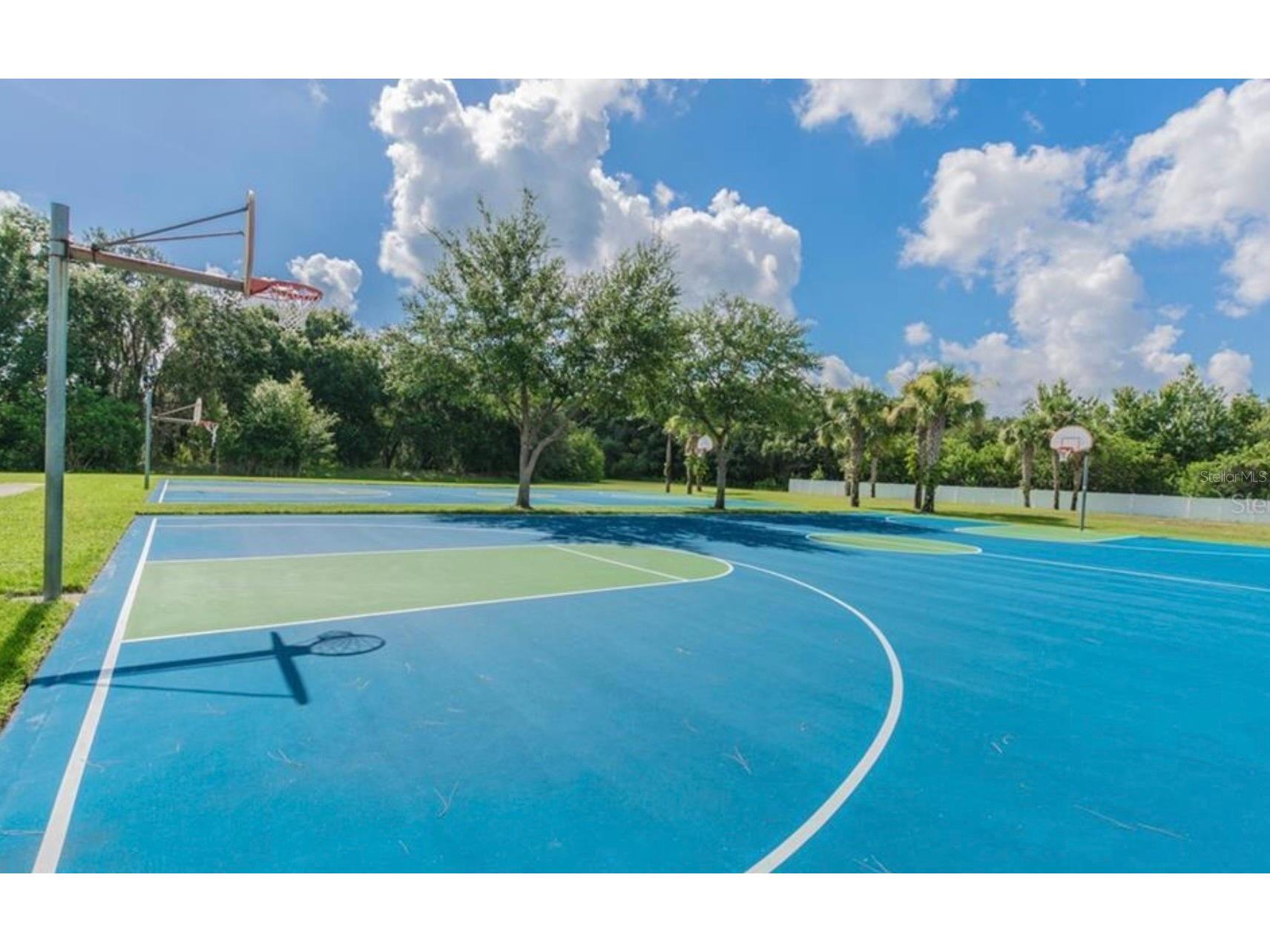 2753 Tanglewylde Drive Land O Lakes FL 34638 TB8486784 image40