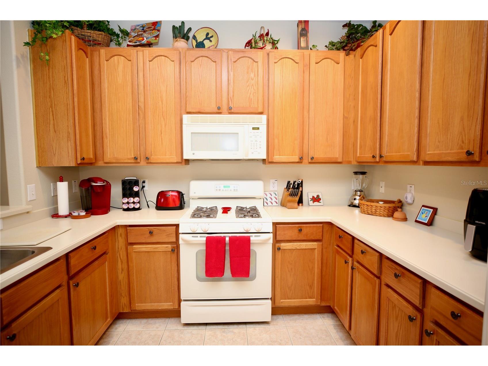 2753 Tanglewylde Drive Land O Lakes FL 34638 TB8486784 image5