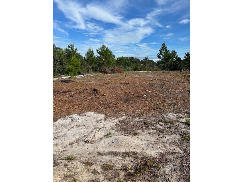 2754 W Seville Drive Avon Park FL 33825 P4931217 image1