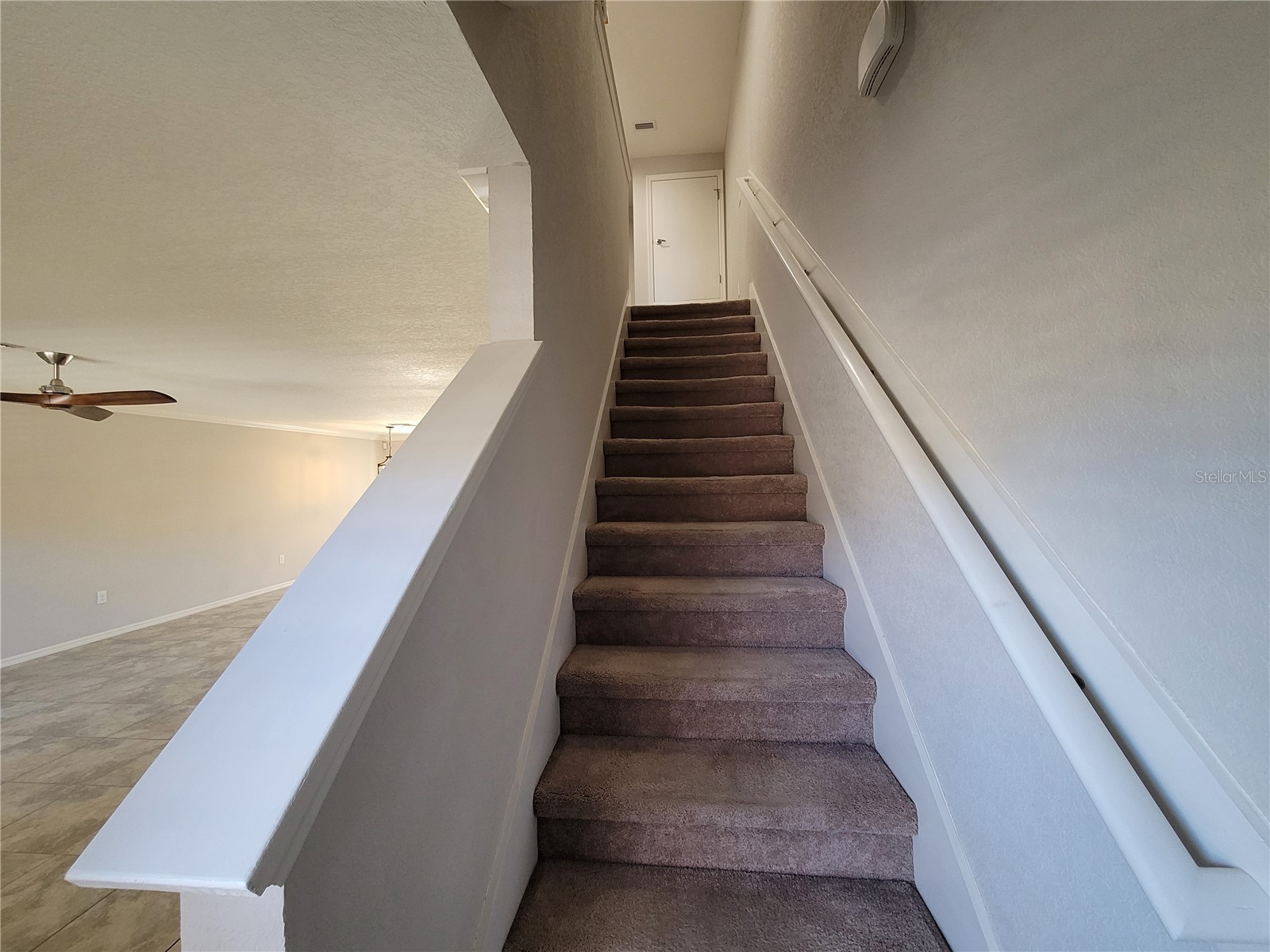 27542 Desert Willow Way Wesley Chapel FL 33544 TB8488125 image12