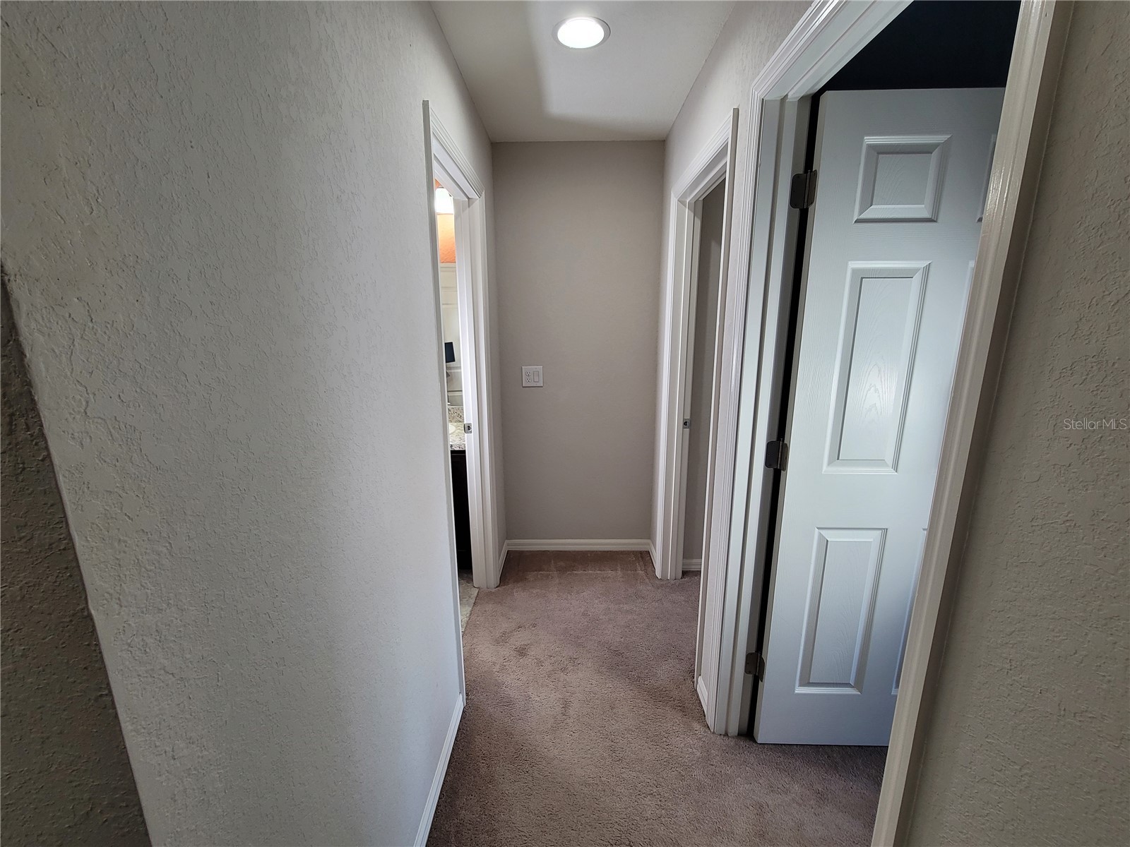 27542 Desert Willow Way Wesley Chapel FL 33544 TB8488125 image20