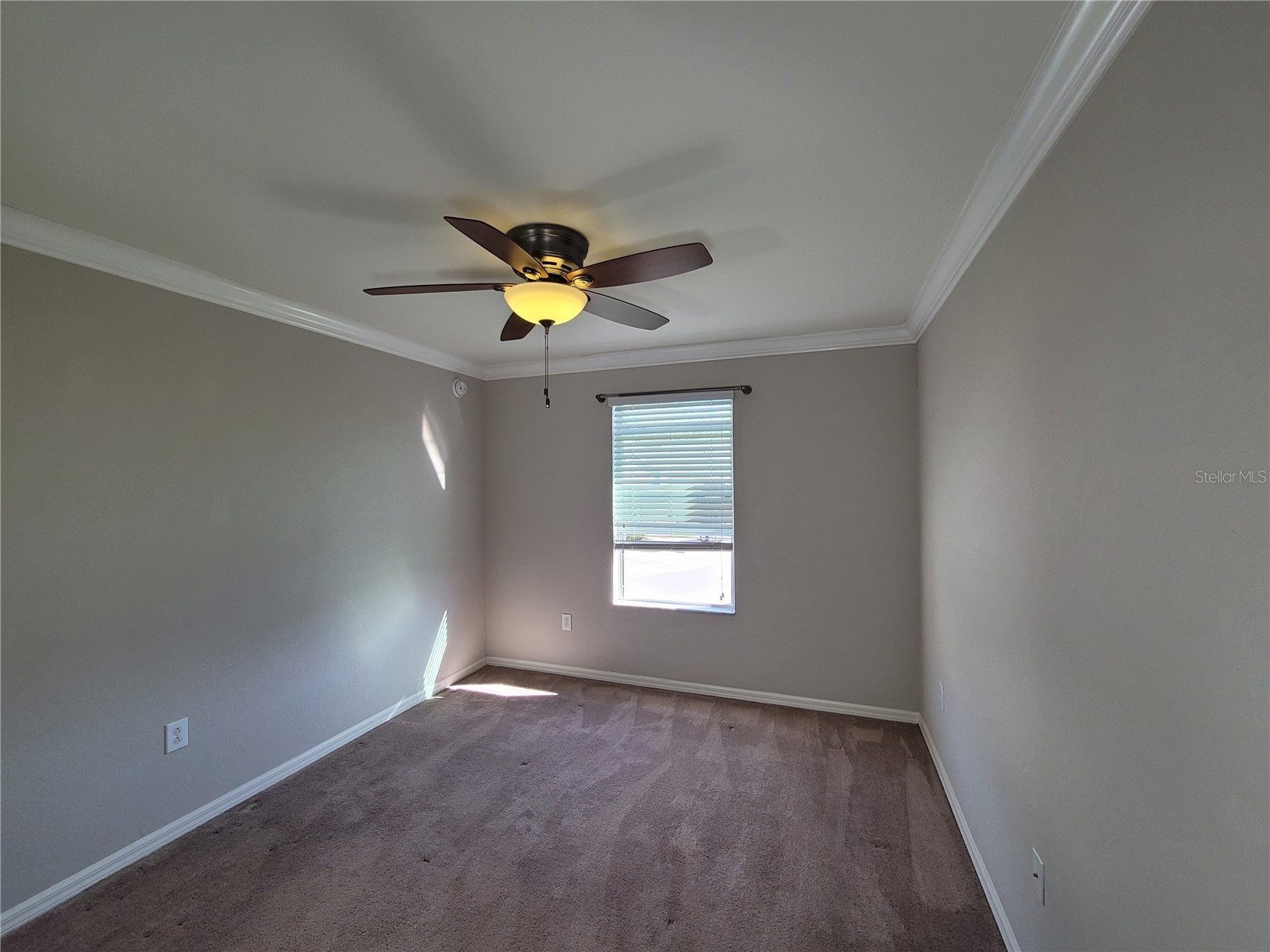 27542 Desert Willow Way Wesley Chapel FL 33544 TB8488125 image24