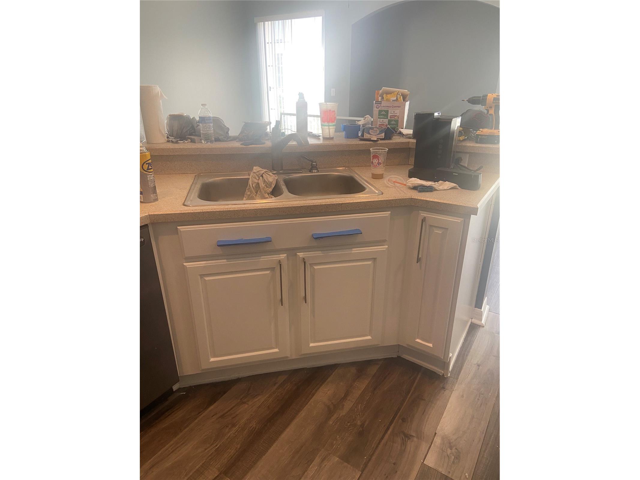 27546 Pleasure Ride Loop Wesley Chapel FL 33544 TB8488235 image12