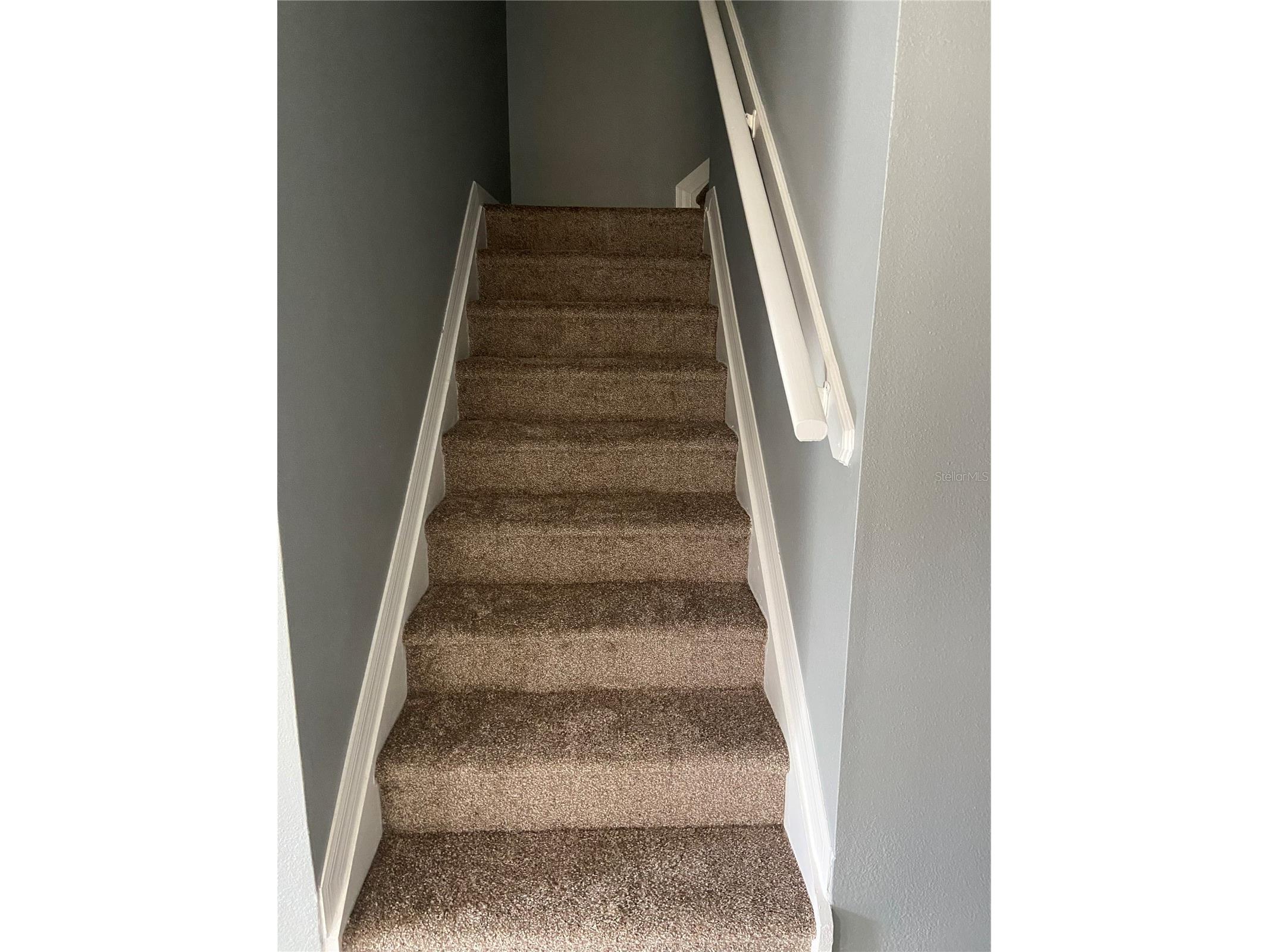 27546 Pleasure Ride Loop Wesley Chapel FL 33544 TB8488235 image14