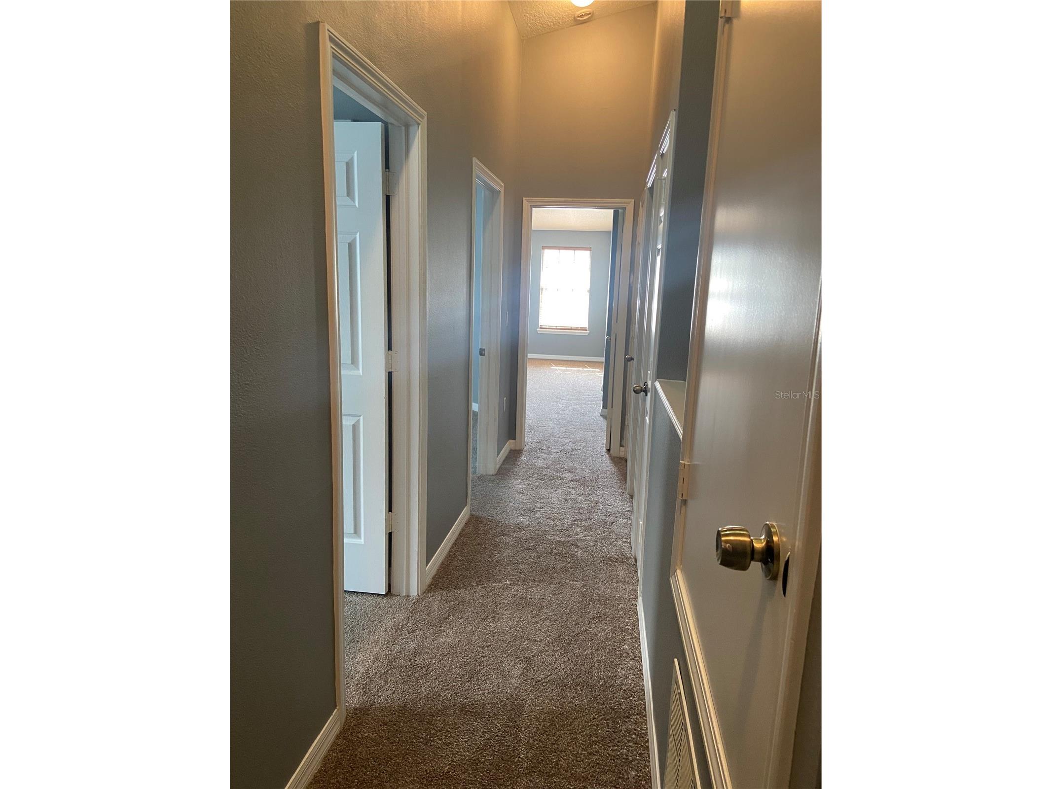 27546 Pleasure Ride Loop Wesley Chapel FL 33544 TB8488235 image15