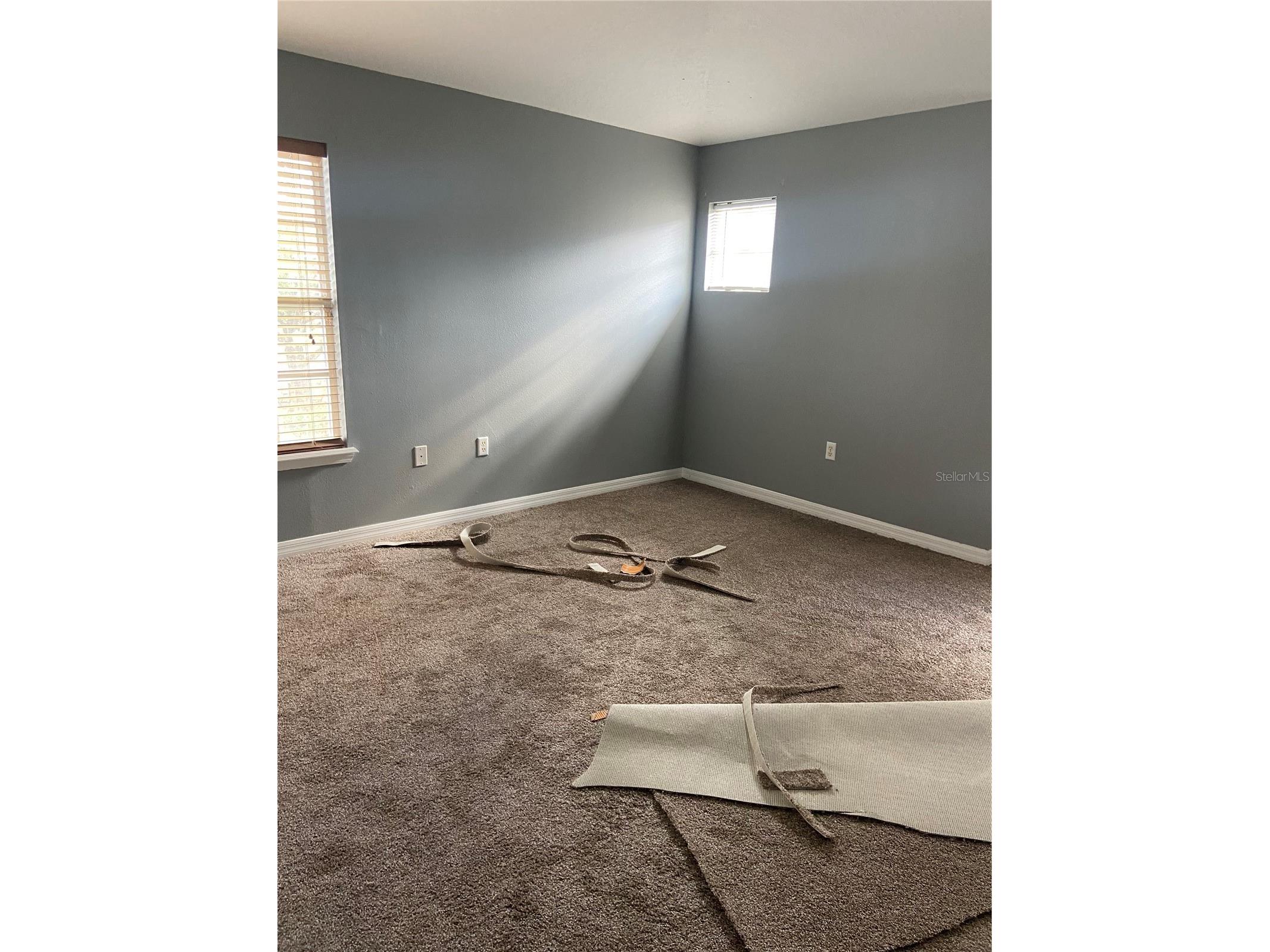 27546 Pleasure Ride Loop Wesley Chapel FL 33544 TB8488235 image16