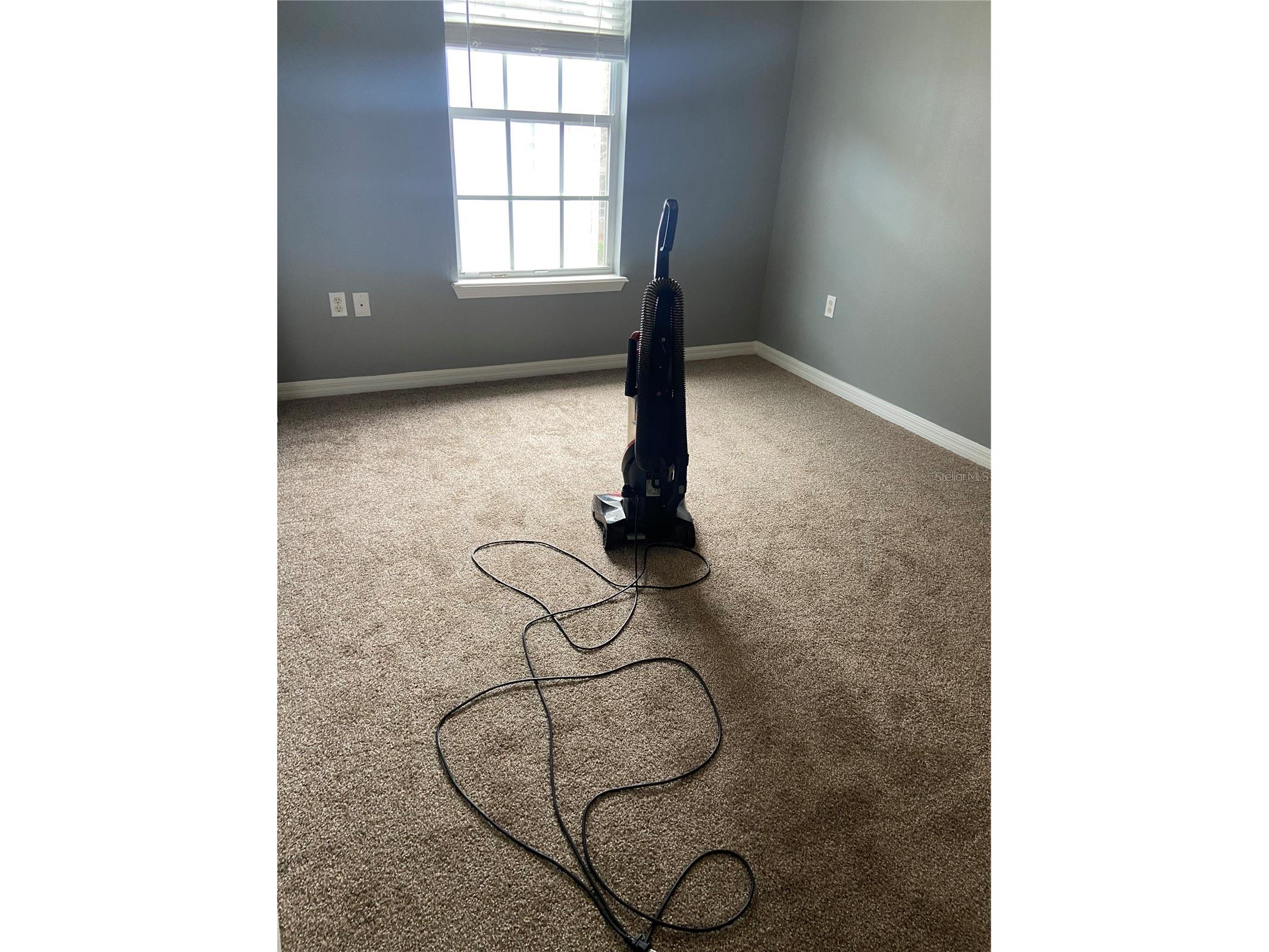 27546 Pleasure Ride Loop Wesley Chapel FL 33544 TB8488235 image17