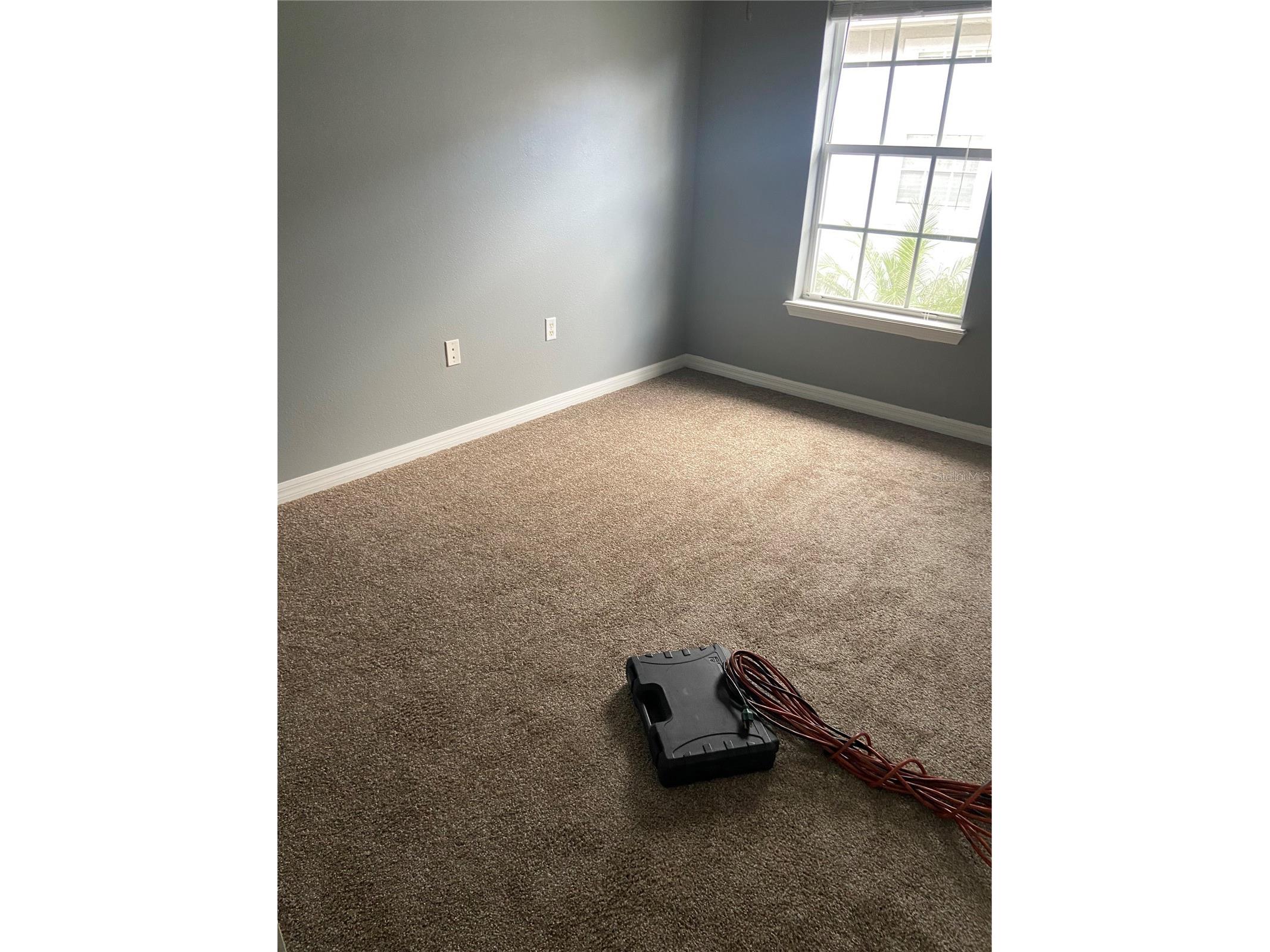 27546 Pleasure Ride Loop Wesley Chapel FL 33544 TB8488235 image18