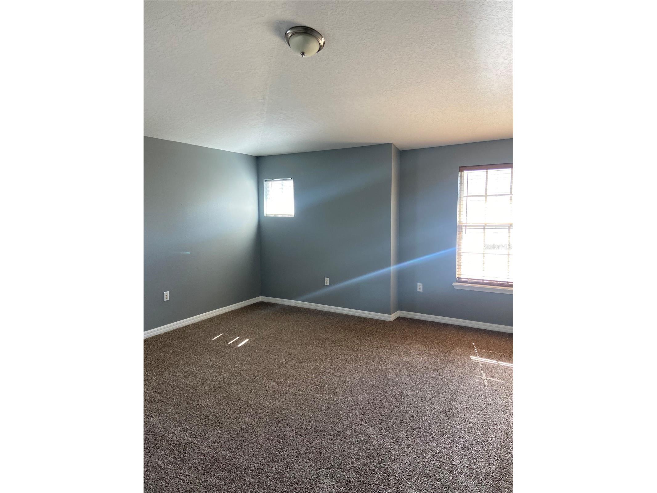 27546 Pleasure Ride Loop Wesley Chapel FL 33544 TB8488235 image19