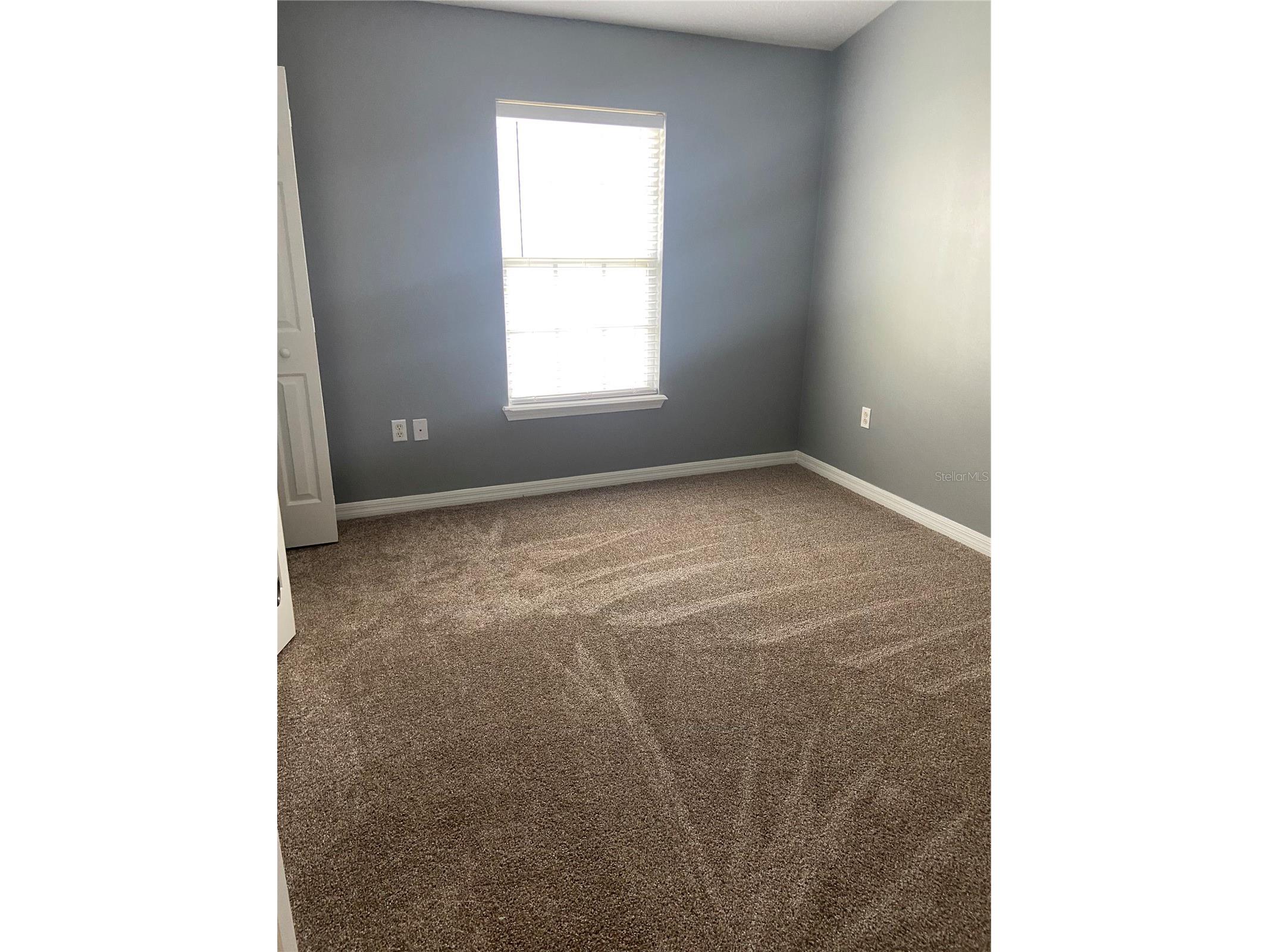 27546 Pleasure Ride Loop Wesley Chapel FL 33544 TB8488235 image21