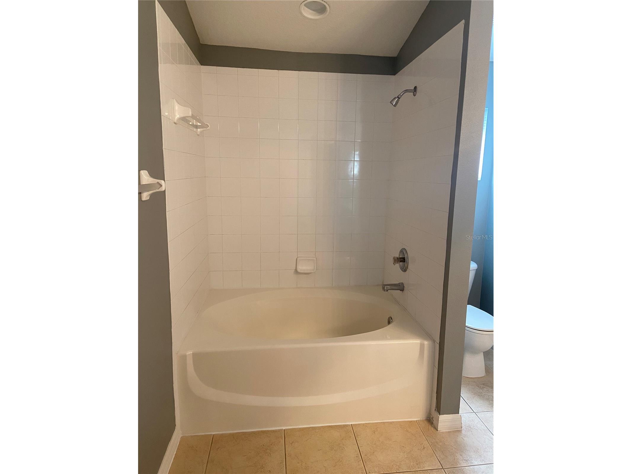 27546 Pleasure Ride Loop Wesley Chapel FL 33544 TB8488235 image23