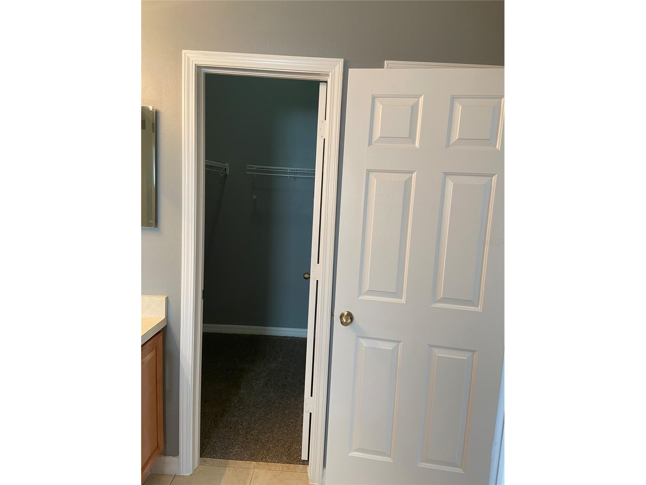 27546 Pleasure Ride Loop Wesley Chapel FL 33544 TB8488235 image24