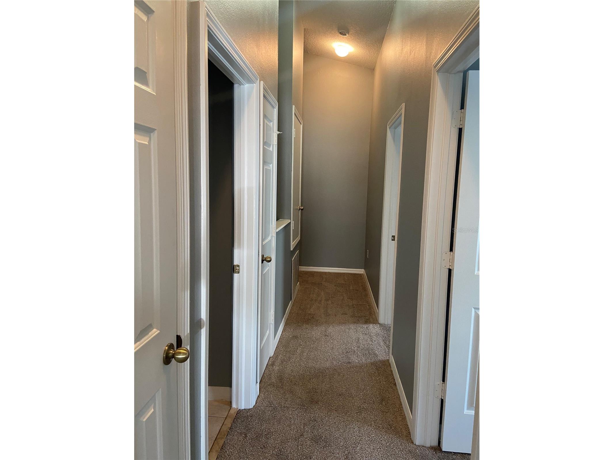 27546 Pleasure Ride Loop Wesley Chapel FL 33544 TB8488235 image25