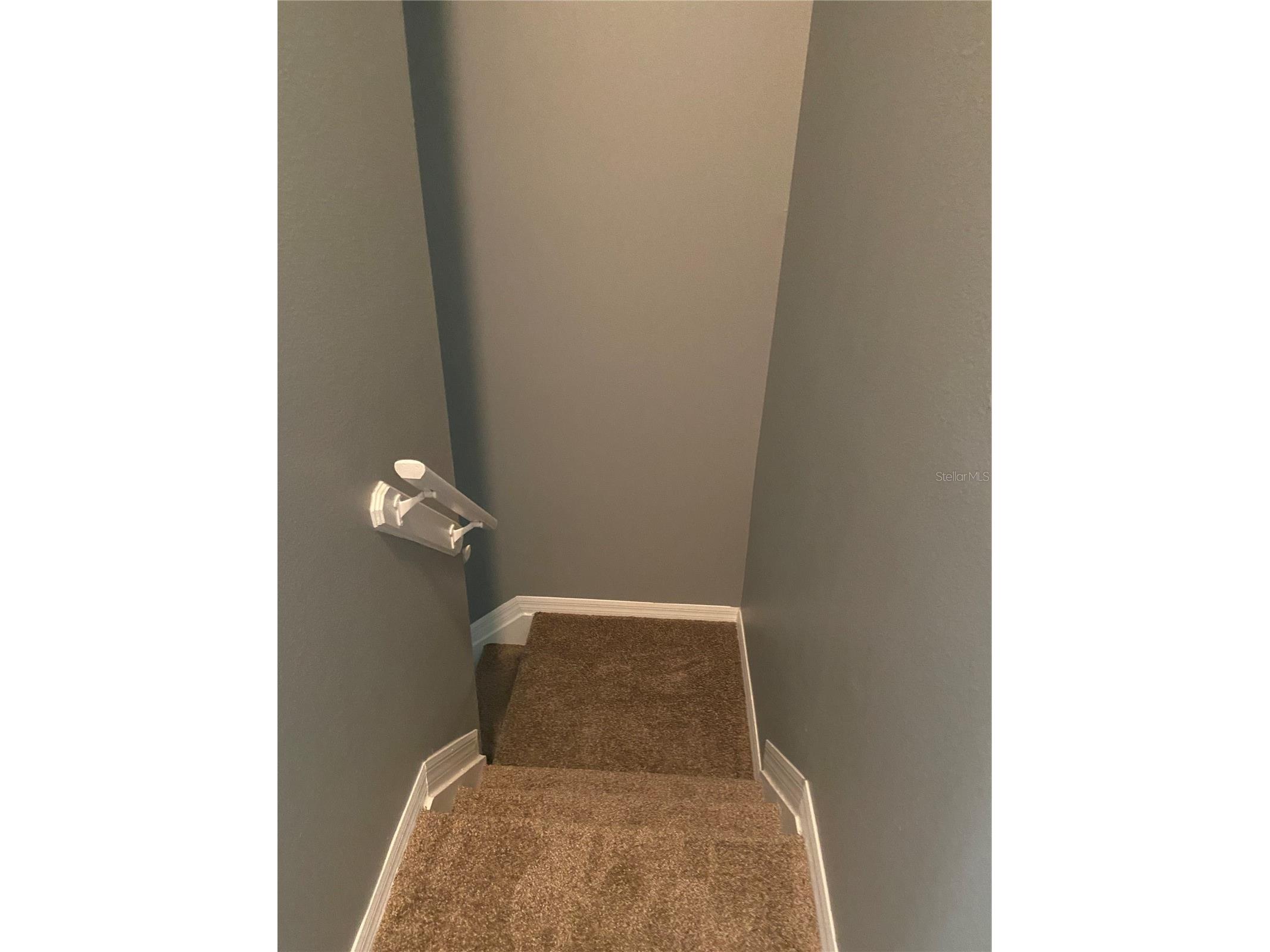 27546 Pleasure Ride Loop Wesley Chapel FL 33544 TB8488235 image29