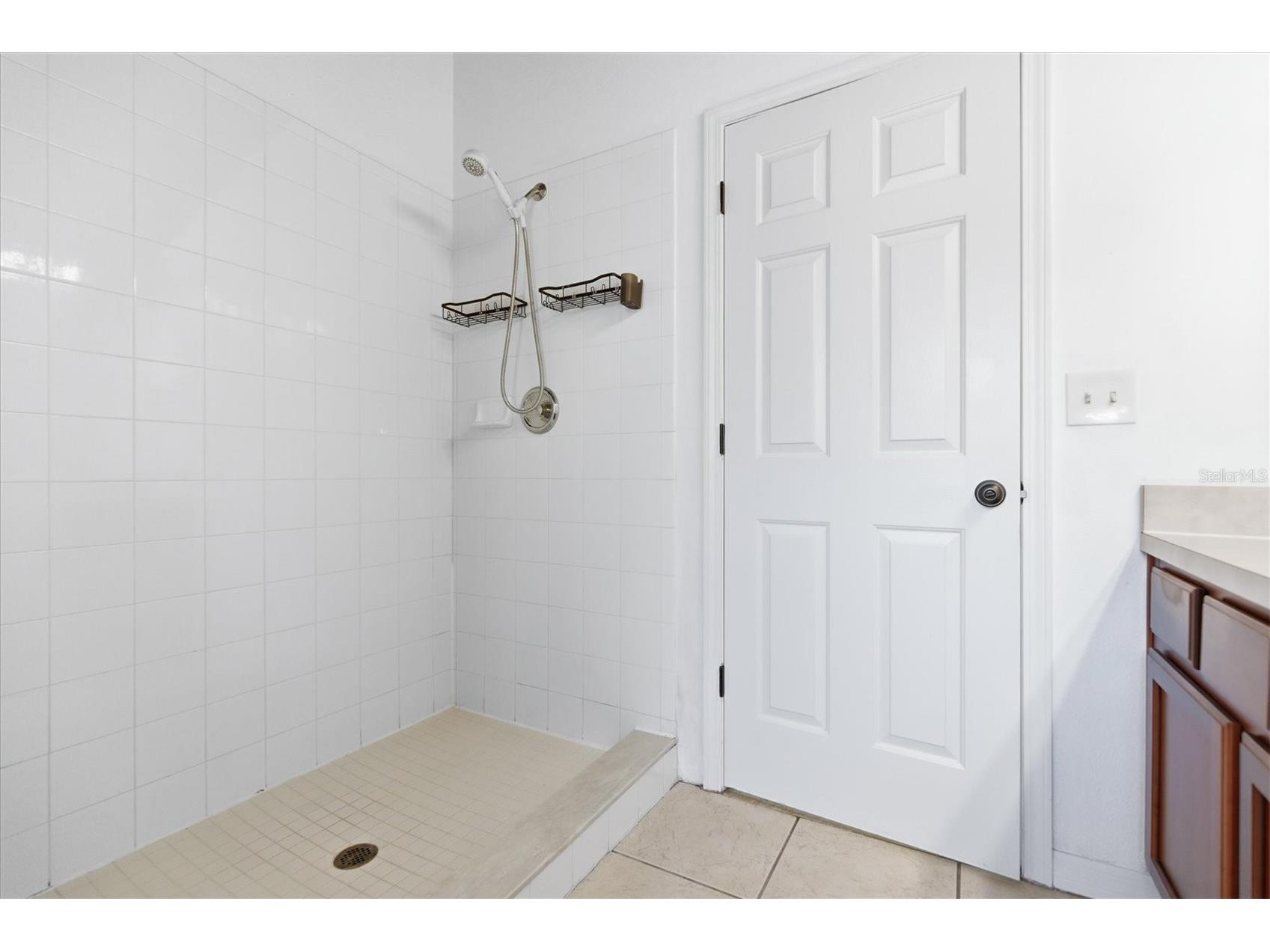 27547 Pleasure Ride Loop Wesley Chapel FL 33544 TB8466905 image26