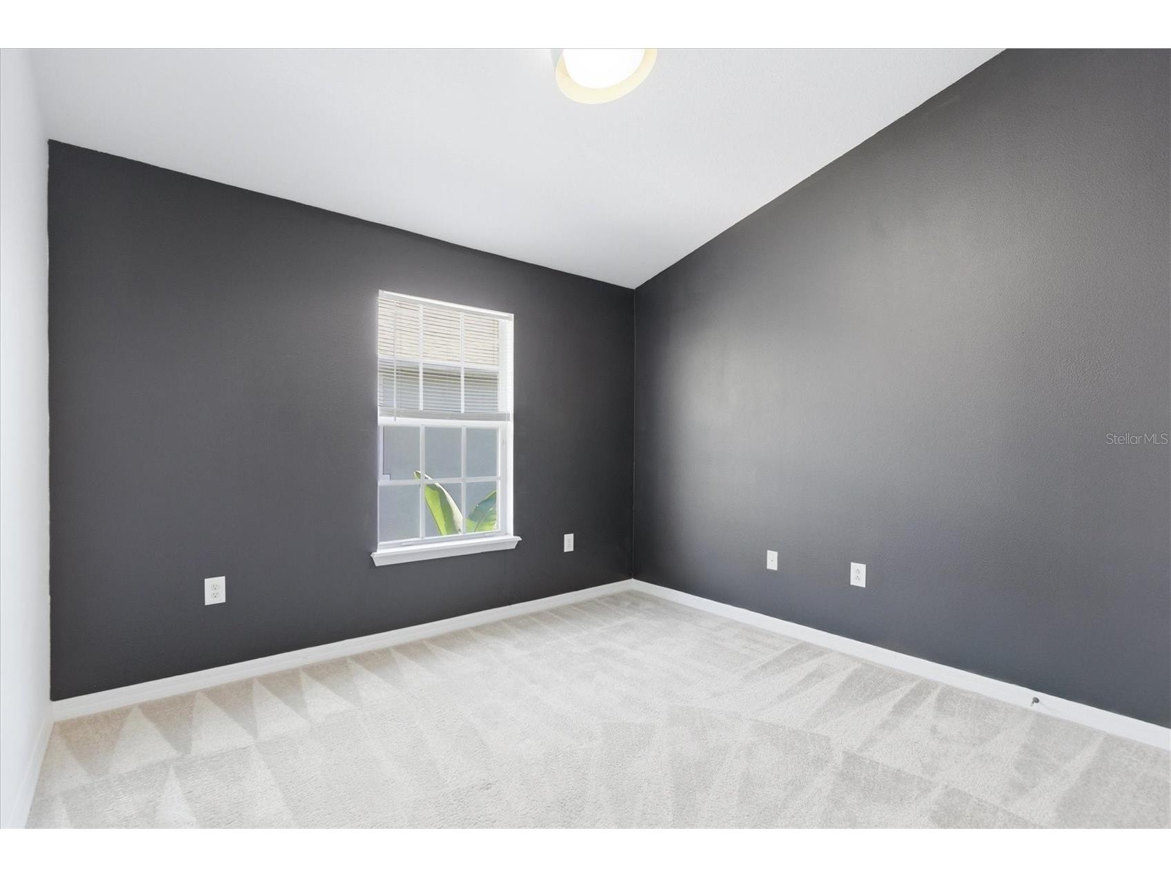 27547 Pleasure Ride Loop Wesley Chapel FL 33544 TB8466905 image27