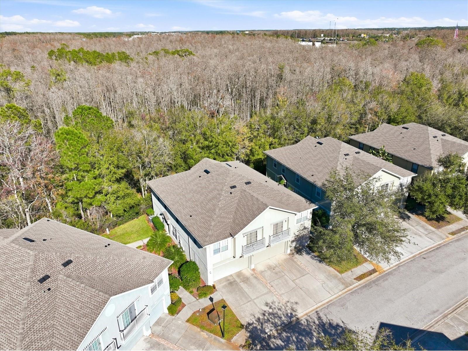 27547 Pleasure Ride Loop Wesley Chapel FL 33544 TB8466905 image37