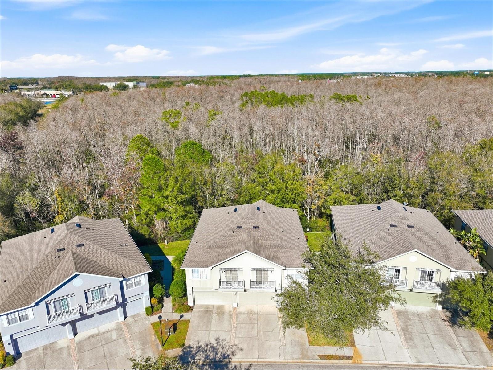 27547 Pleasure Ride Loop Wesley Chapel FL 33544 TB8466905 image38