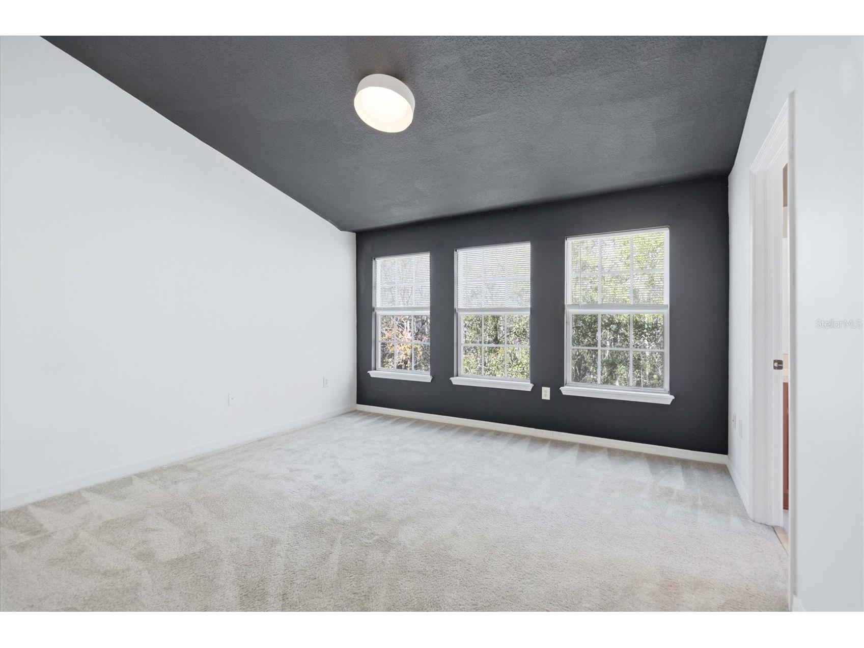 27547 Pleasure Ride Loop Wesley Chapel FL 33544 TB8466905 image4