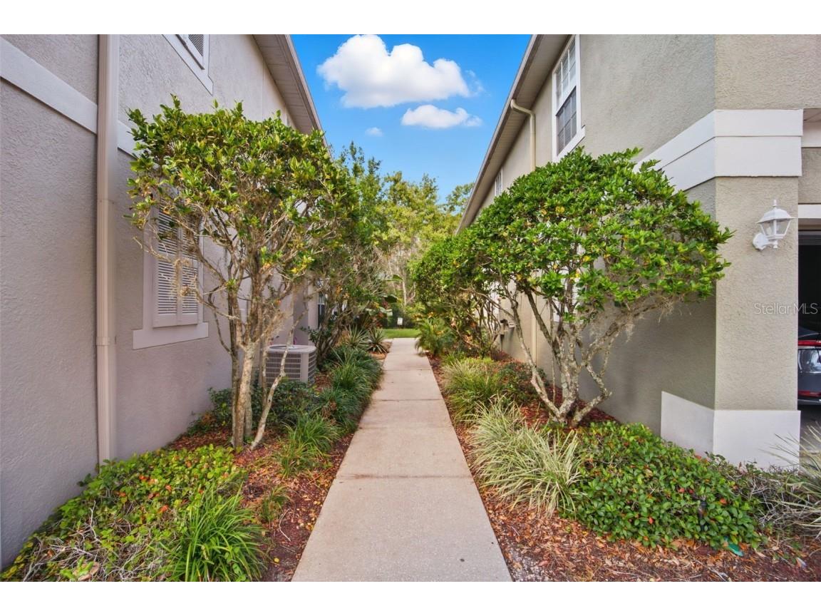 27547 Pleasure Ride Loop Wesley Chapel FL 33544 W7880431 image34