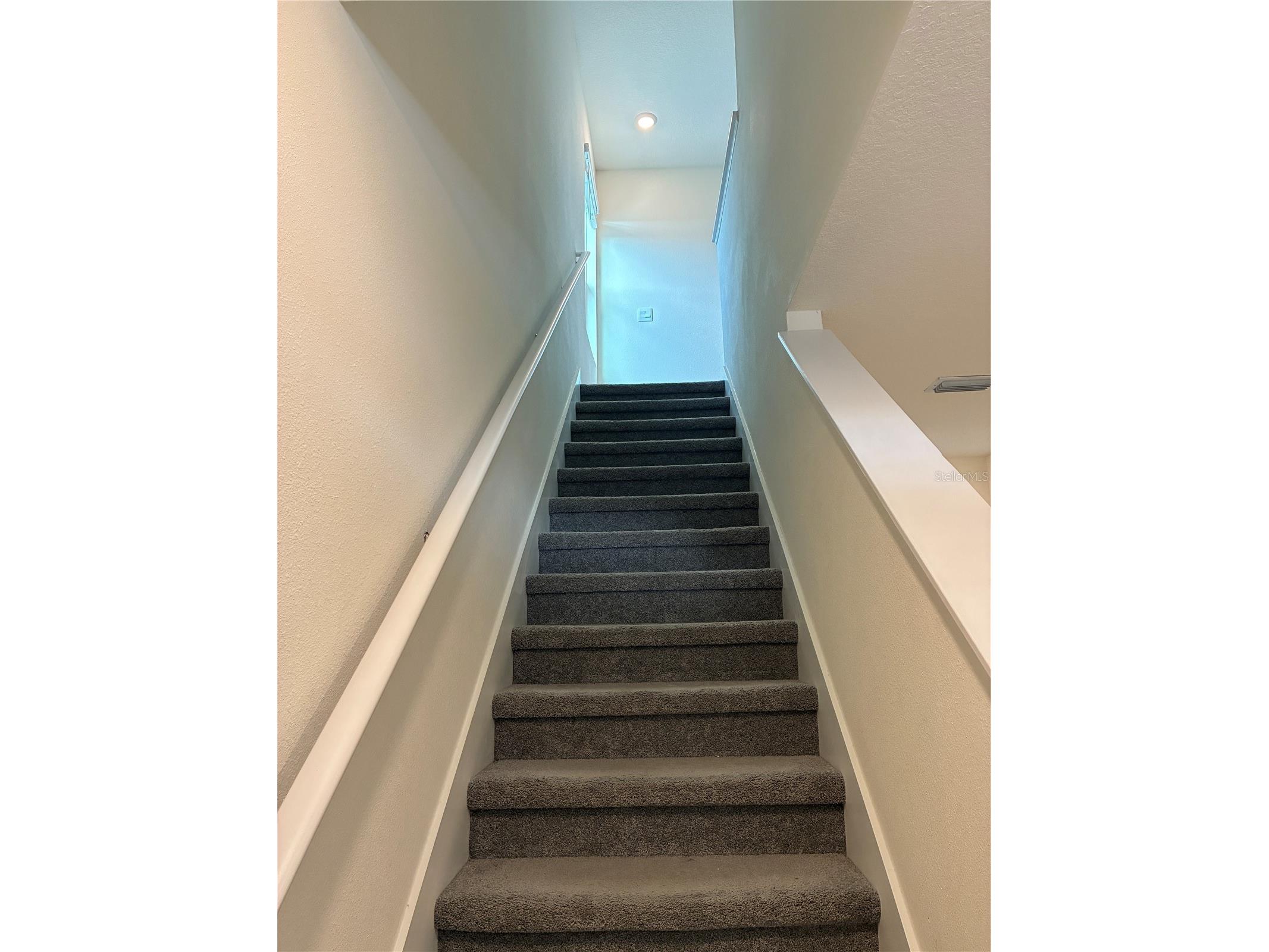 2755 Common Fig Run Wesley Chapel FL 33543 TB8513860 image16