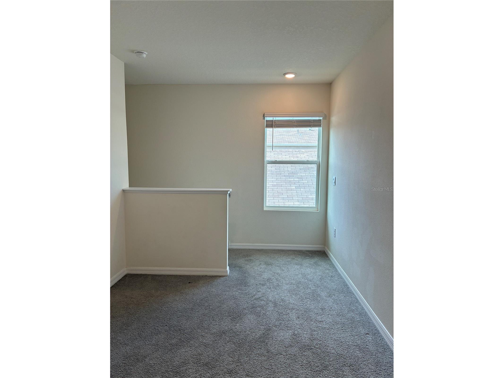2755 Common Fig Run Wesley Chapel FL 33543 TB8513860 image24
