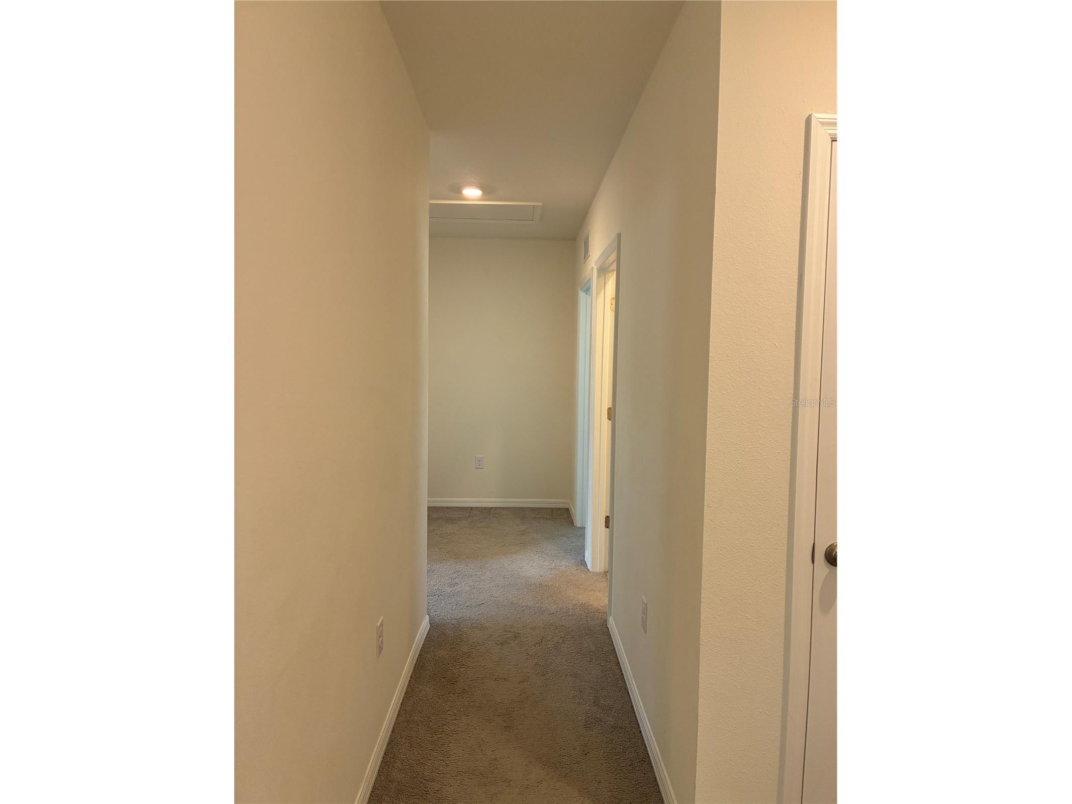 2755 Common Fig Run Wesley Chapel FL 33543 TB8513860 image25