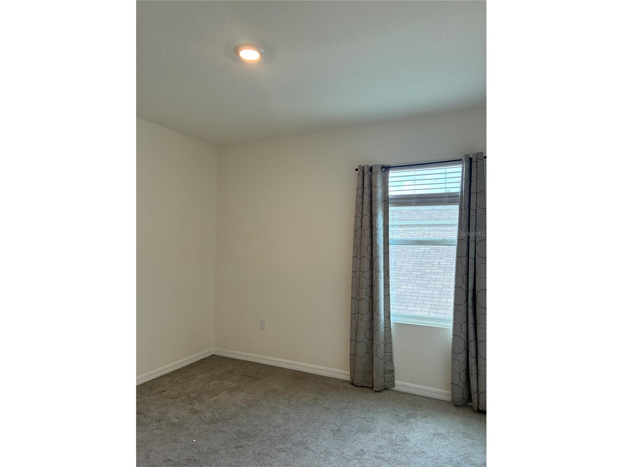 2755 Common Fig Run Wesley Chapel FL 33543 TB8513860 image27
