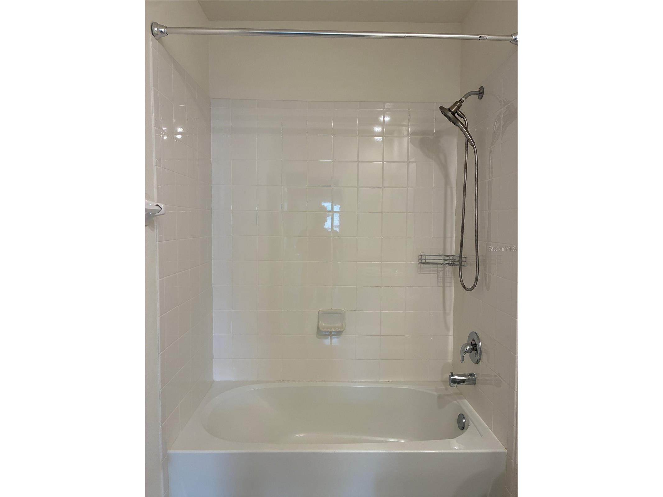 2755 Common Fig Run Wesley Chapel FL 33543 TB8513860 image32