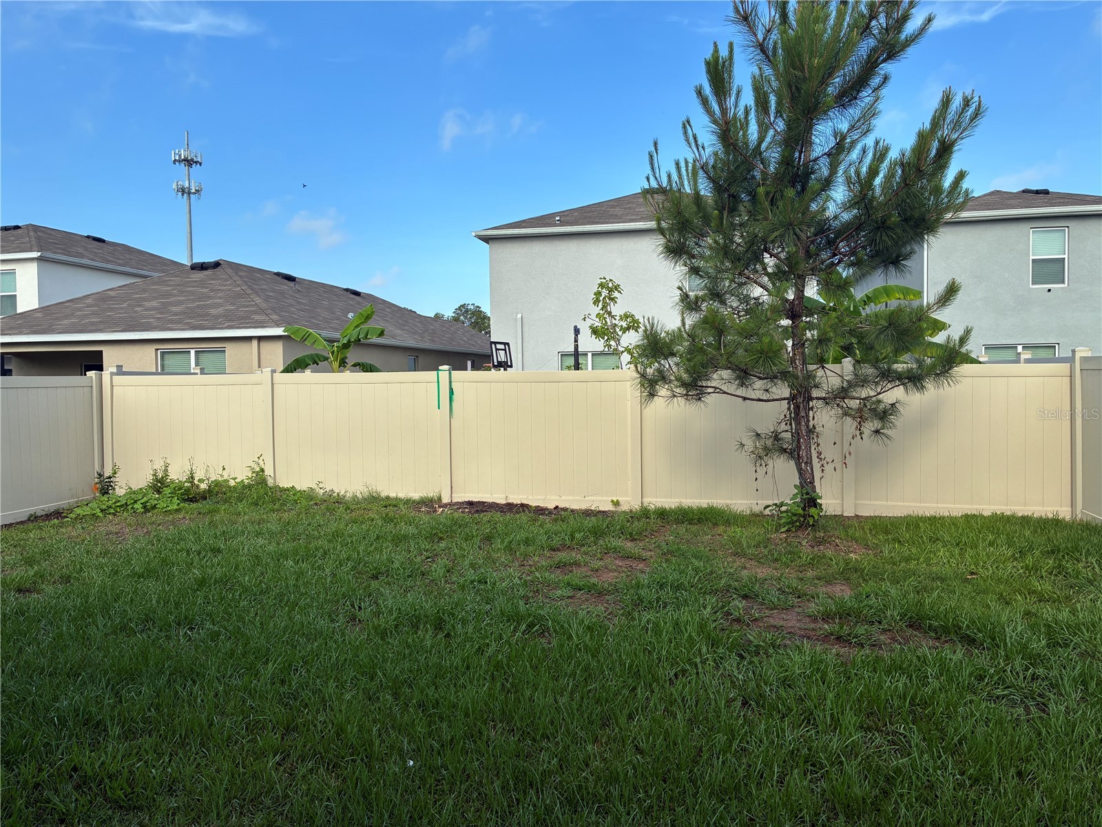 2755 Common Fig Run Wesley Chapel FL 33543 TB8513860 image35