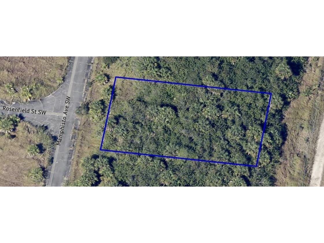 2755 Maphisto Avenue SW Palm Bay FL 32908 OM695787 image2