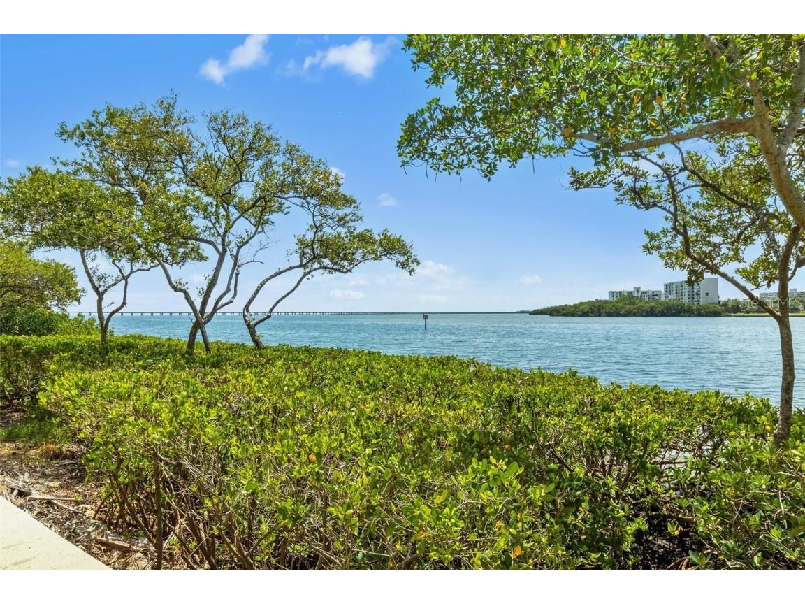 2755 Via Capri #1231 Clearwater FL 33764 U8252305 image35