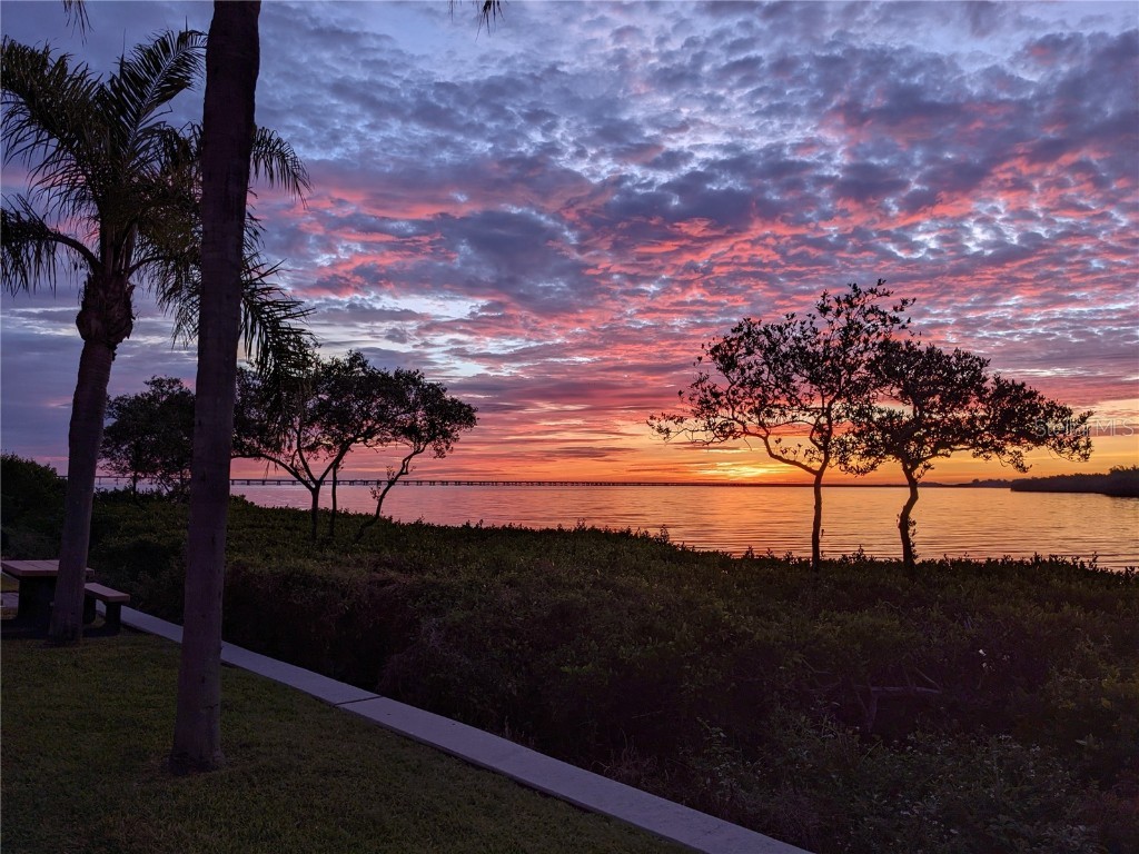 2755 Via Capri #1231 Clearwater FL 33764 U8252305 image36