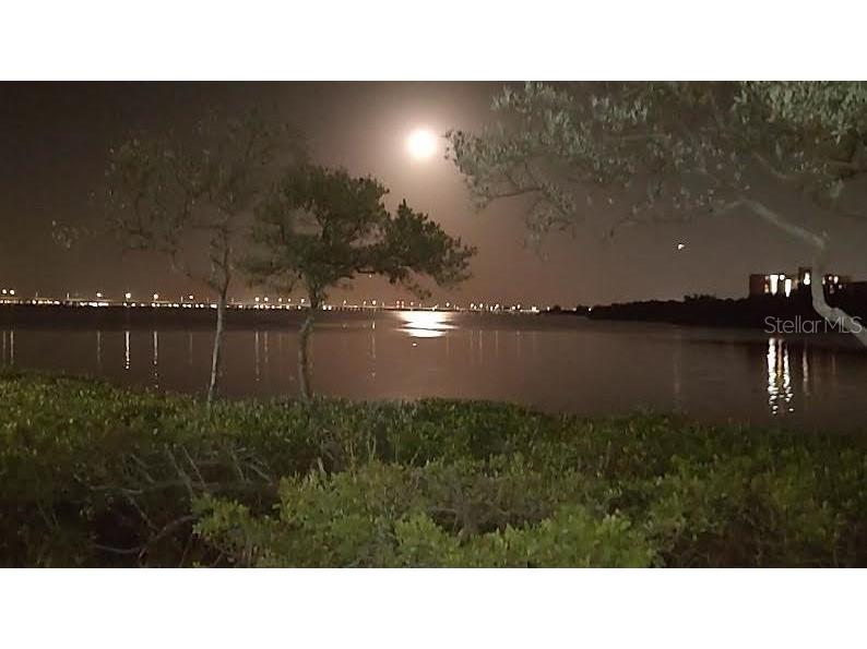 2755 Via Capri #1231 Clearwater FL 33764 U8252305 image38