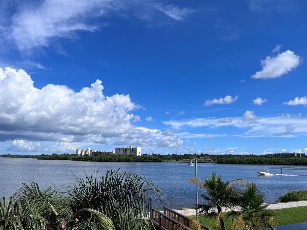 2755 Via Capri Drive #1226 Clearwater FL 33764 T3456335 image9