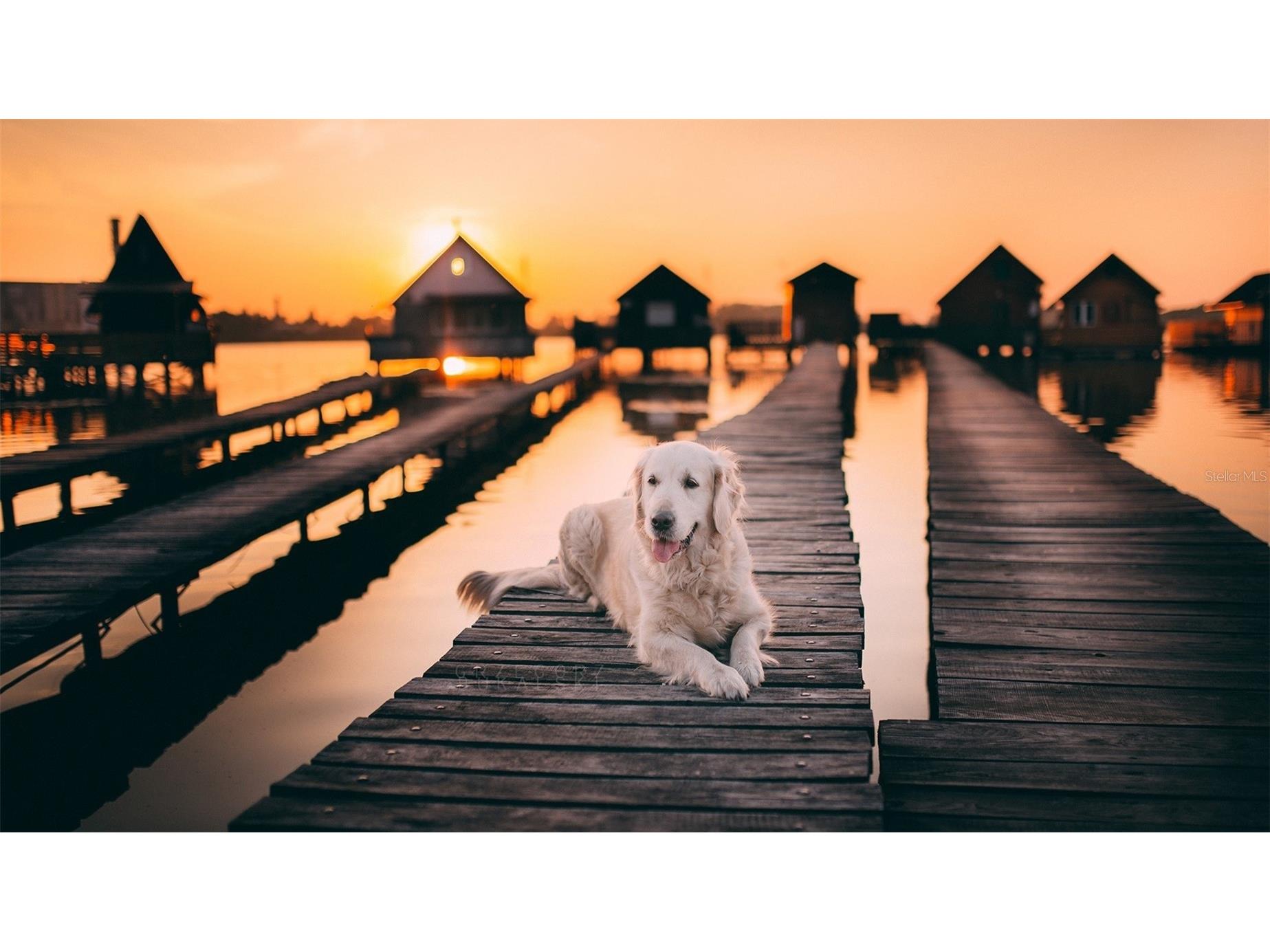 27554 Monte Cristo Boulevard Punta Gorda FL 33955 D6132741 image100