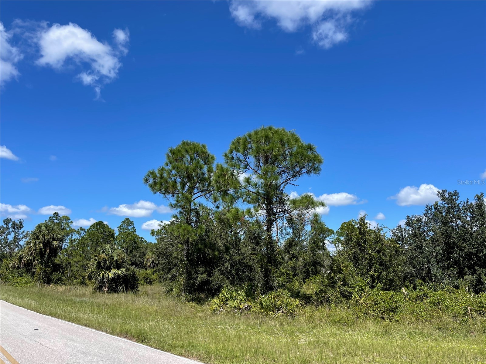 27554 Monte Cristo Boulevard Punta Gorda FL 33955 D6132741 image4