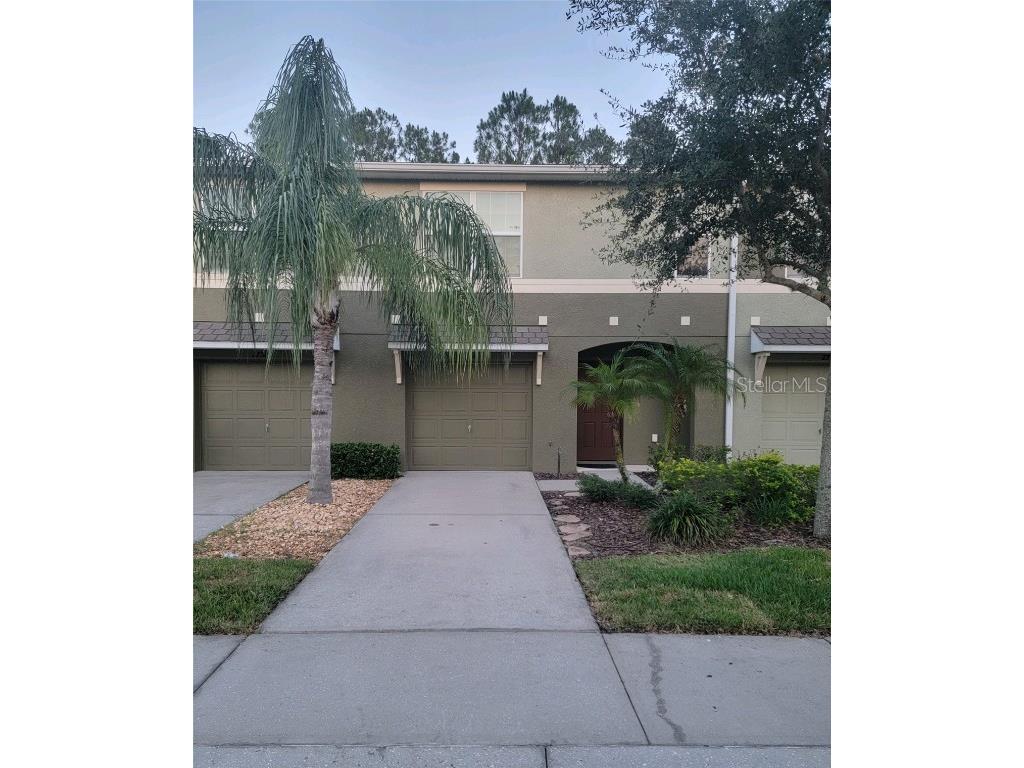 2756 Birchcreek Drive Wesley Chapel FL 33544 T3455130 image1