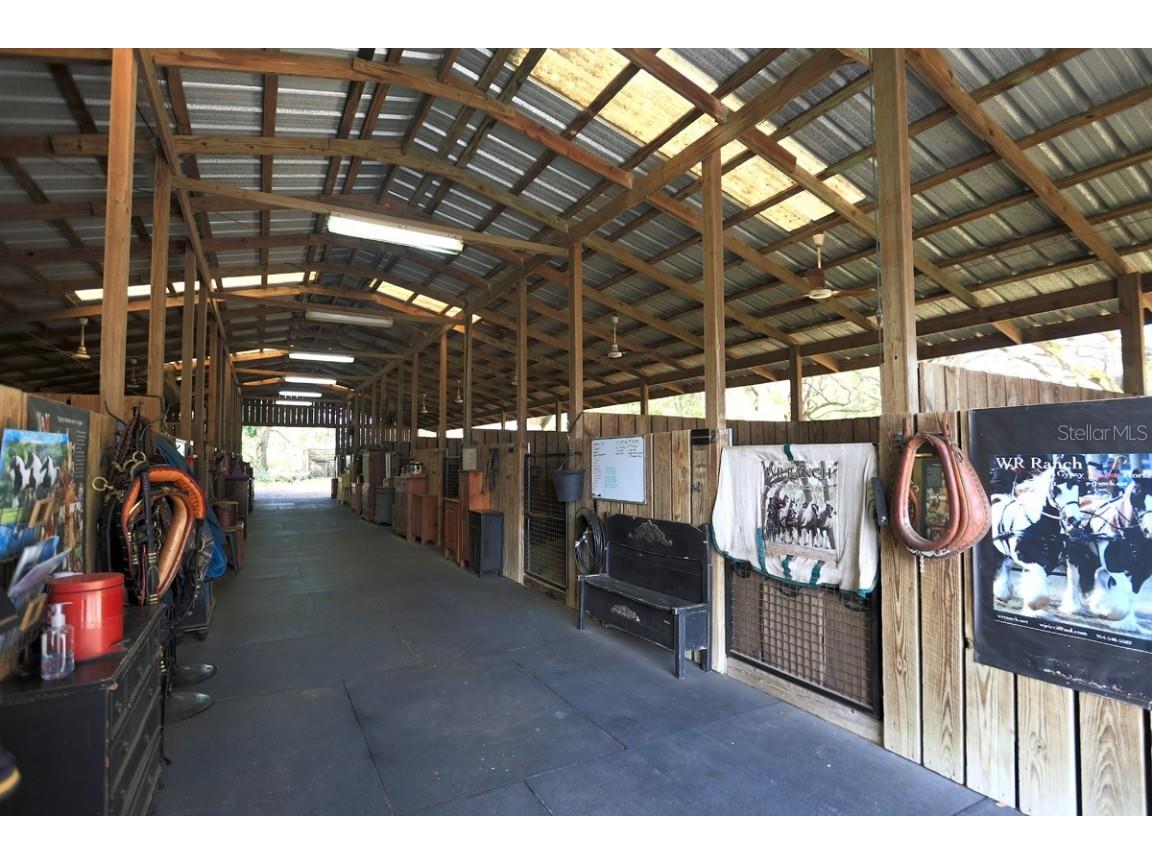 2756 County Road 204 Oxford FL 34484 OM693529 image30