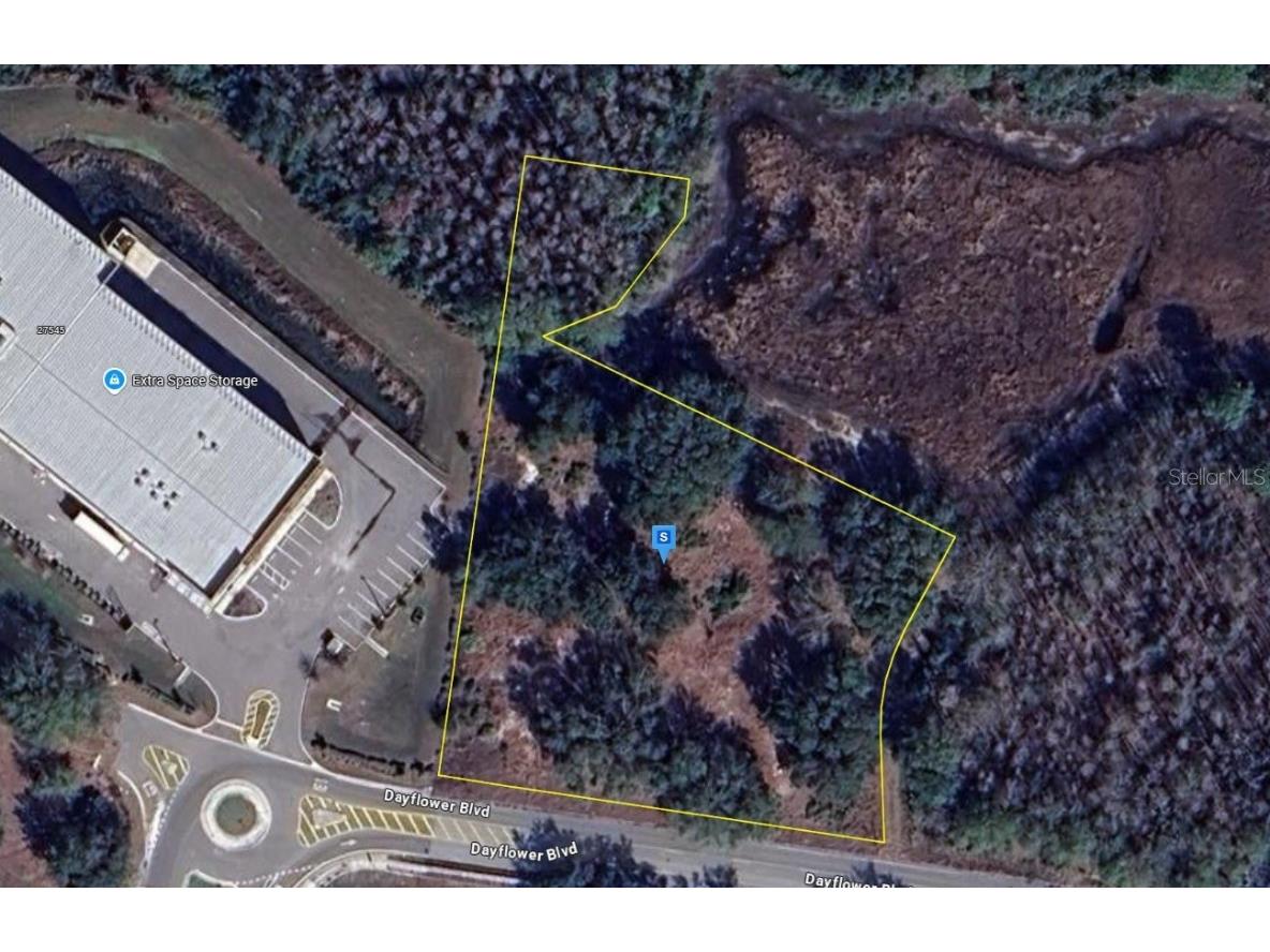 27561 Dayflower Boulevard Wesley Chapel FL 33544 A4654891 image1