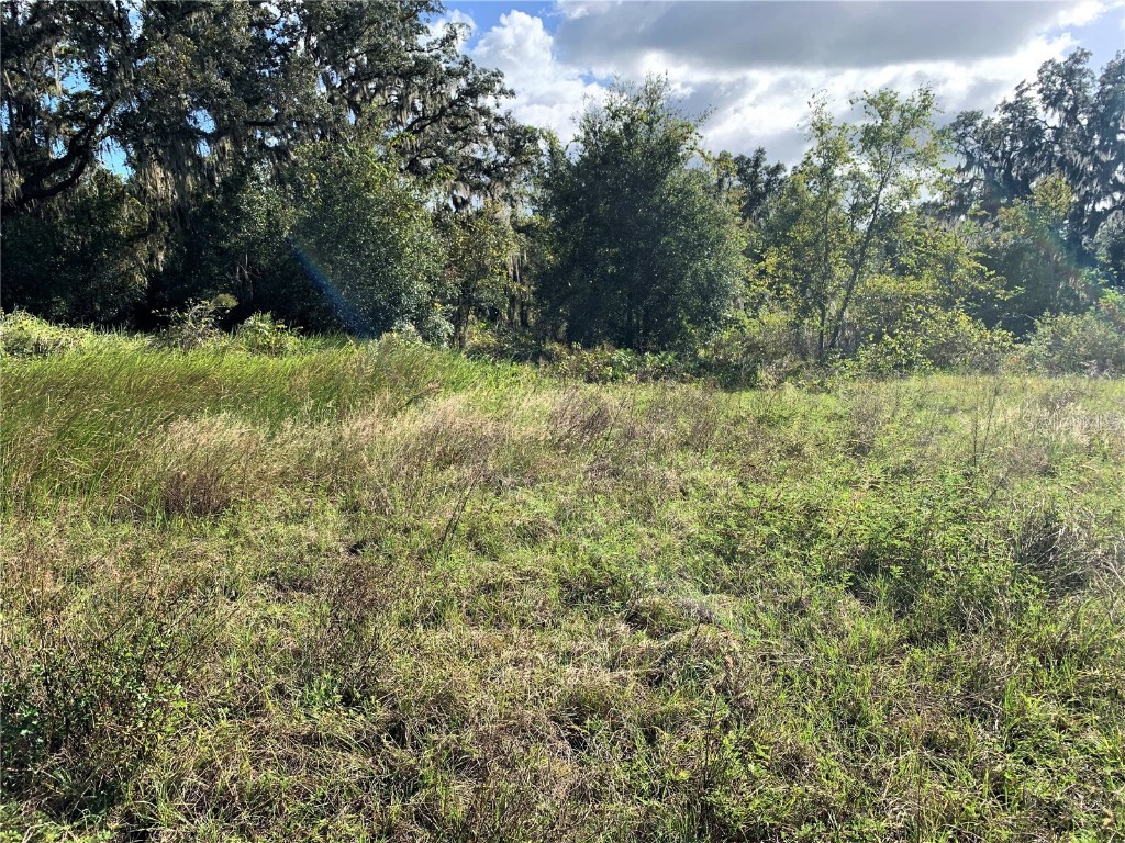 27561 Jackson Court Okahumpka FL 34762 O6072078 image1