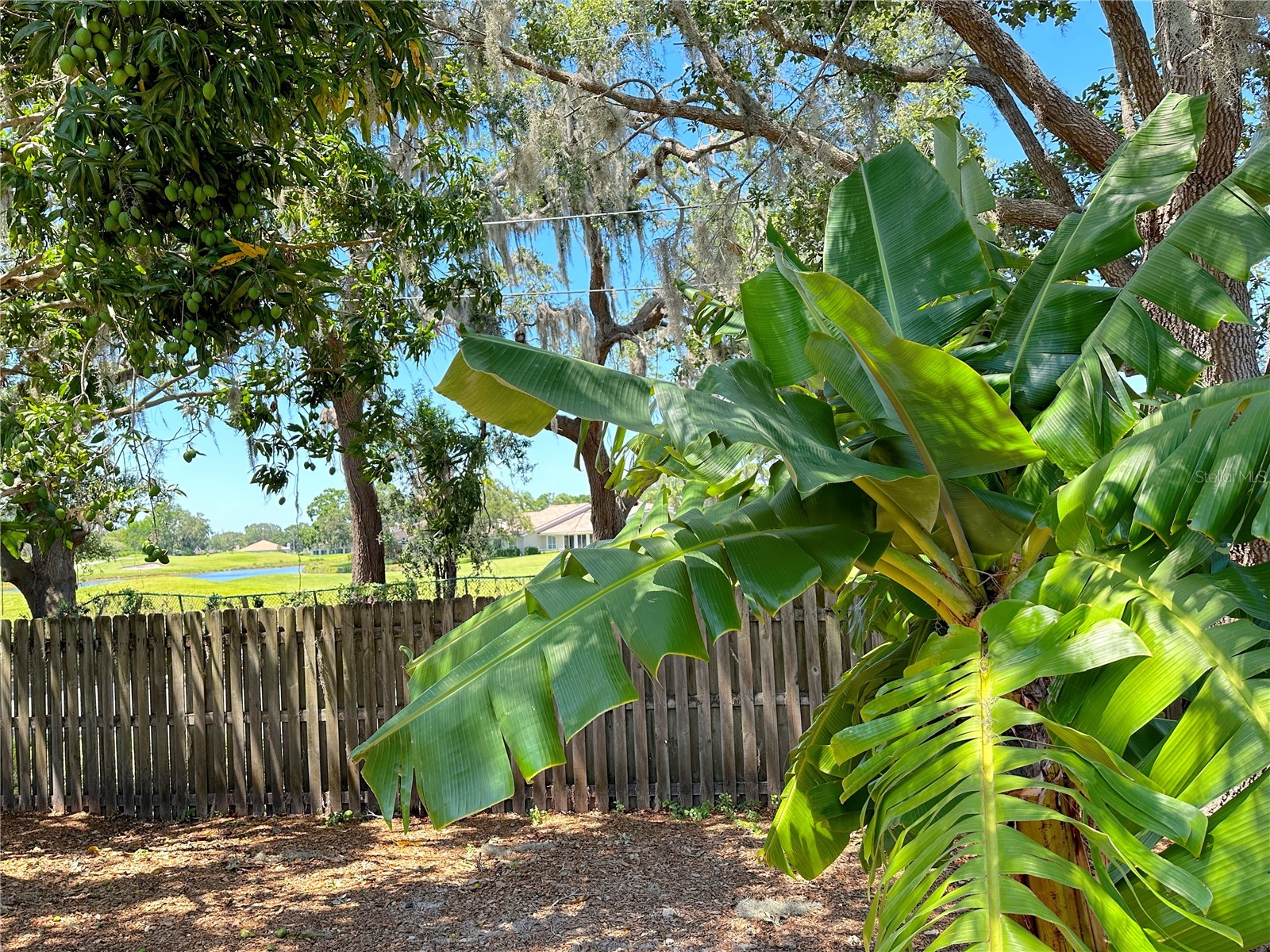 2757 Feiffer Circle Sarasota FL 34235 A4691052 image39