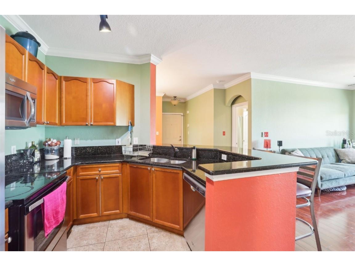 2757 Via Cipriani #1121B Clearwater FL 33764 TB8379324 image11