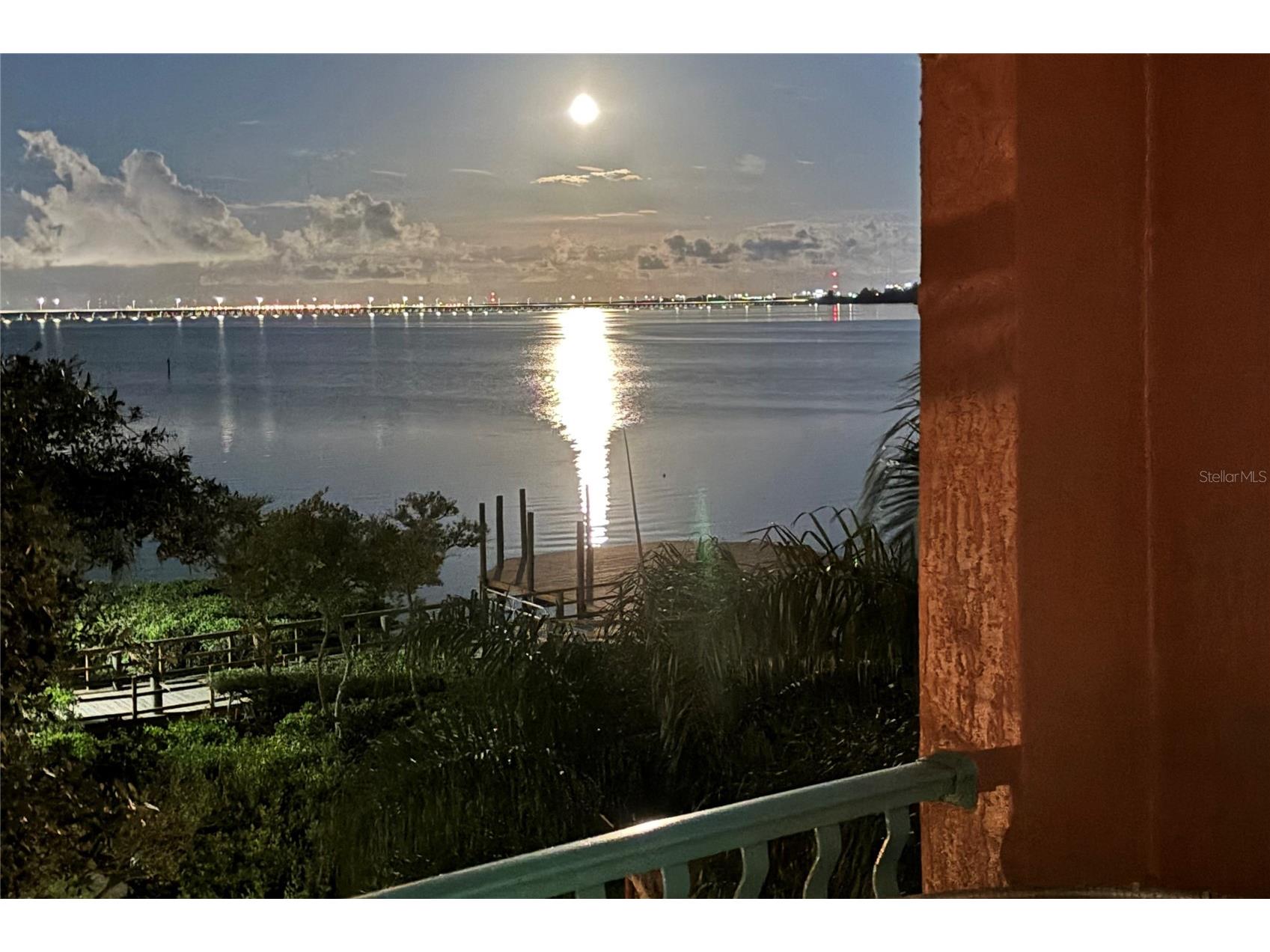 2757 Via Cipriani #1134A Clearwater FL 33764 - TAMPA BAY TB8480927 image9