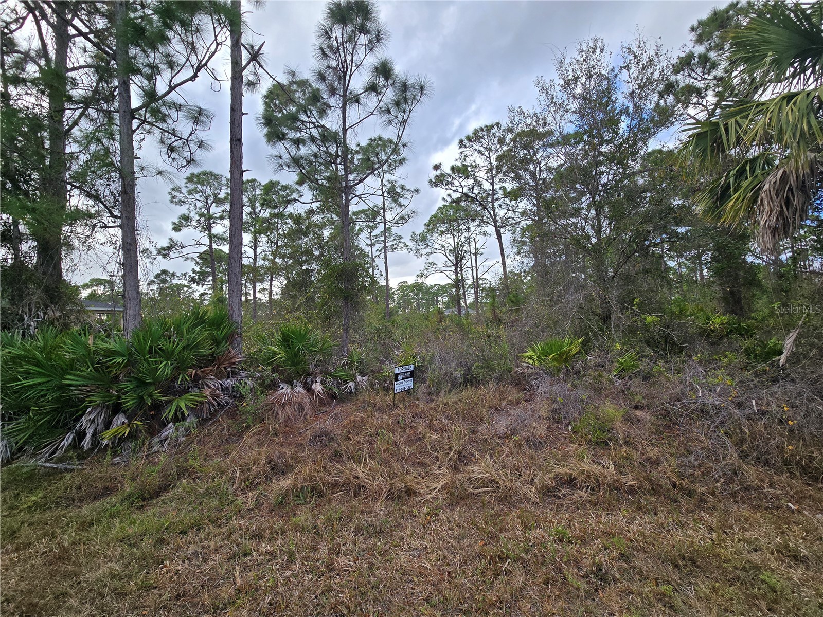 27571 Sandrala Drive Punta Gorda FL 33955 C7520378 image3