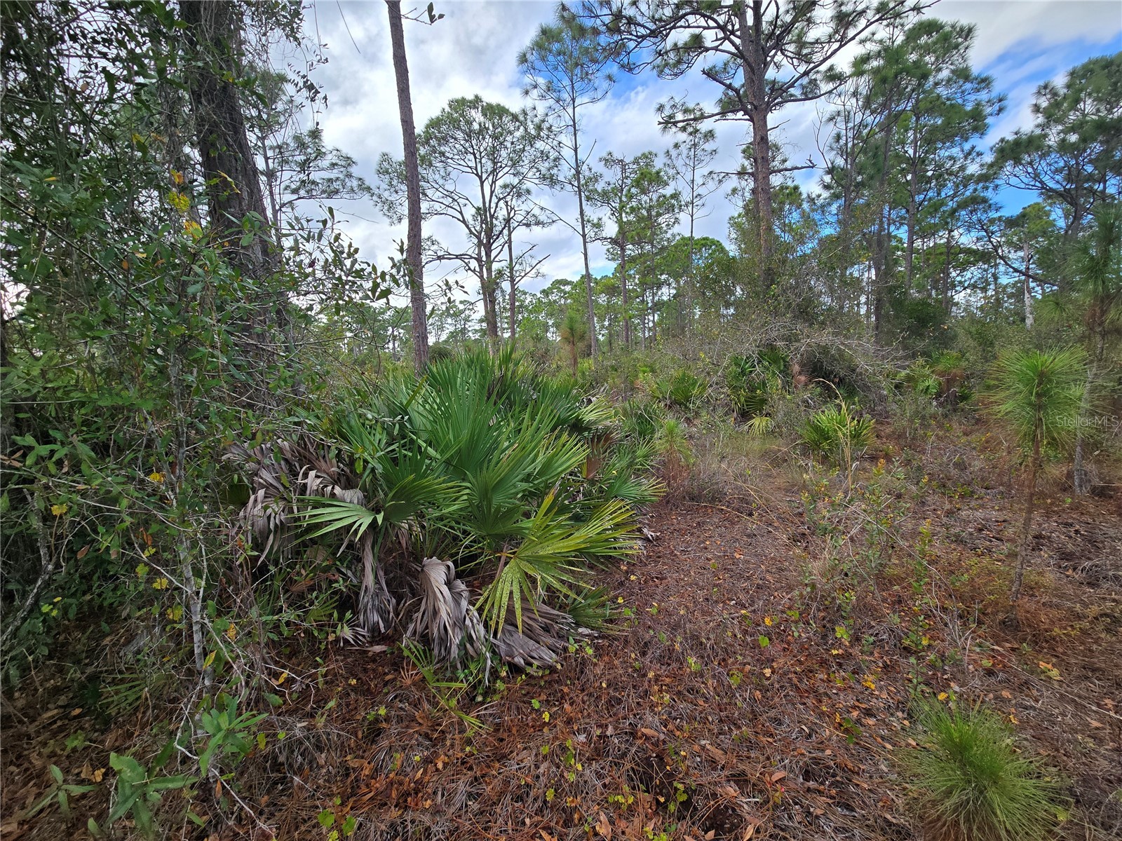 27571 Sandrala Drive Punta Gorda FL 33955 C7520378 image4