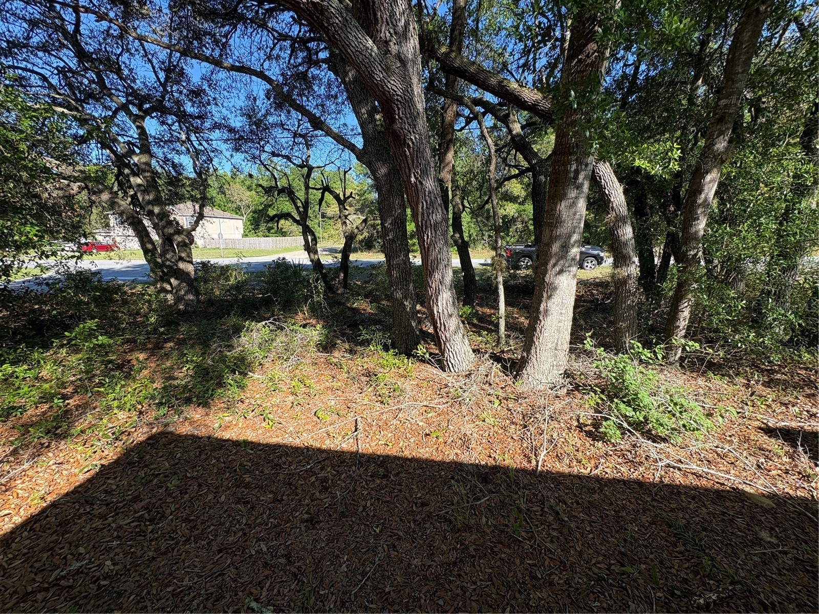 2758 W Century Boulevard Citrus Springs FL 34434 OM722634 image3