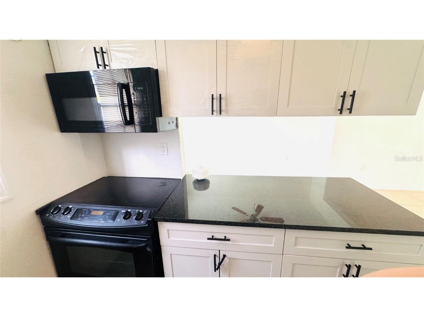 2759 L B Mcleod Road #2759A Orlando FL 32805 TB8456747 image7