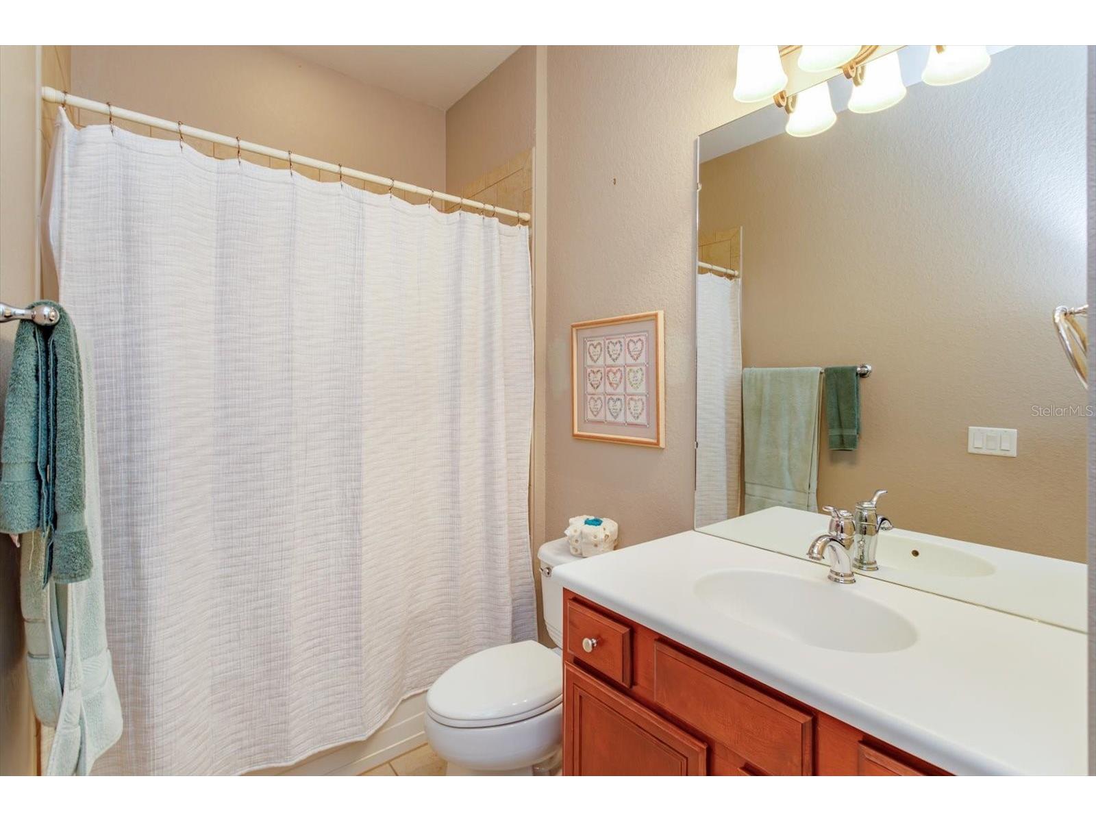 2759 Maria Isabel Avenue Ocoee FL 34761 O6414832 image29