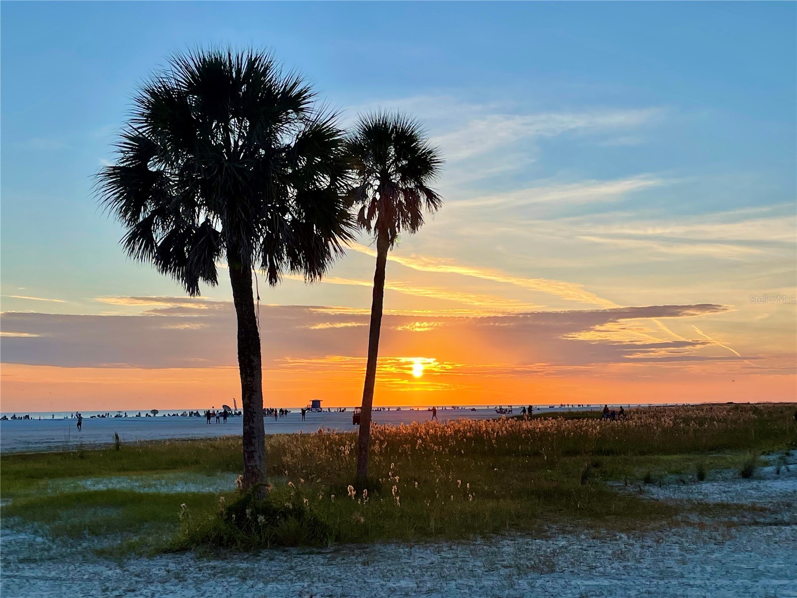 276 Island Circle Sarasota FL 34242 - GRAND CANAL A4667090 image44